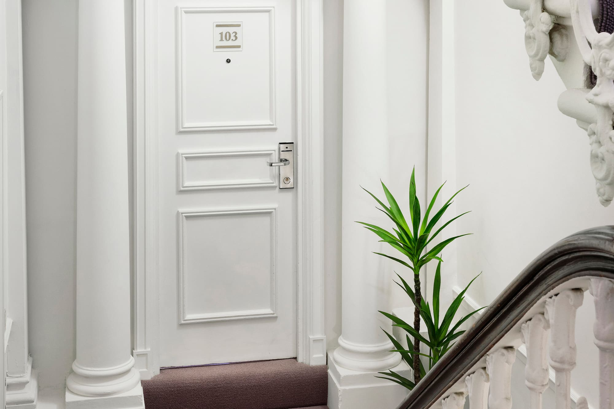 a white door with a carpeted staircase