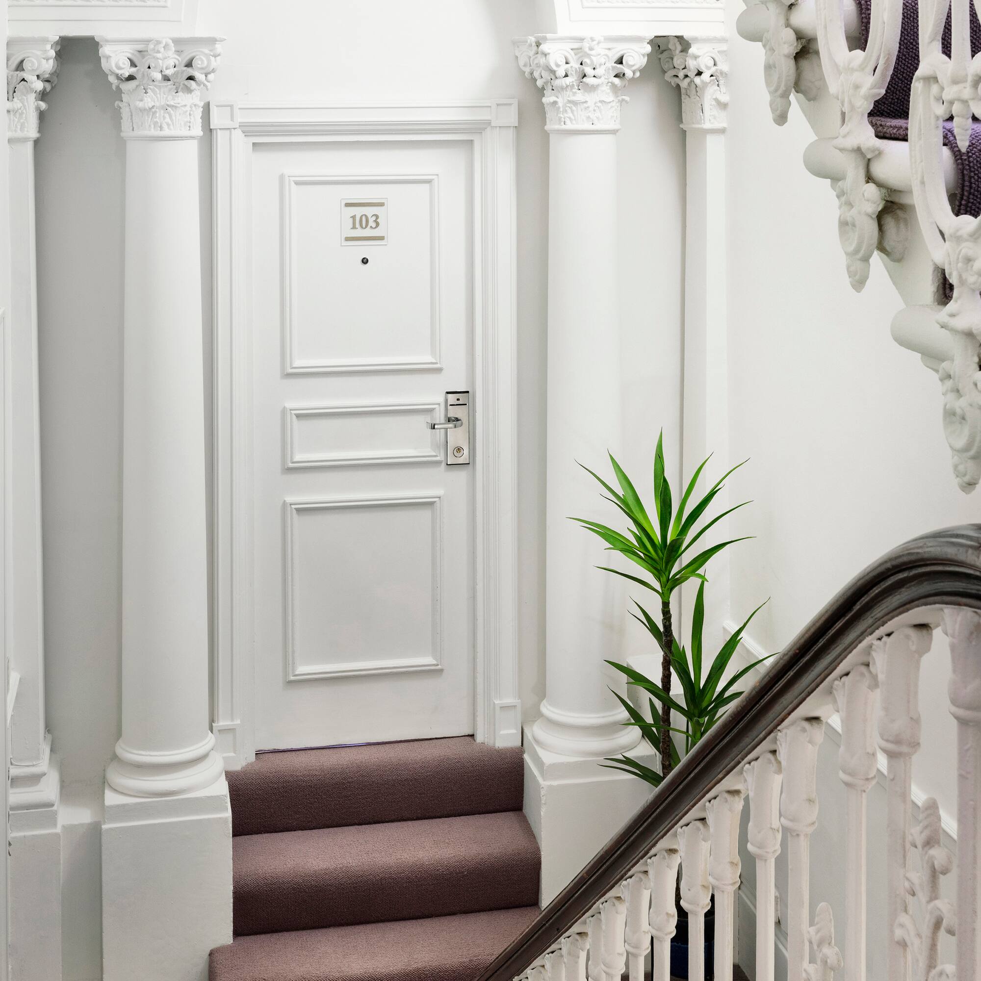 a white door with a carpeted staircase