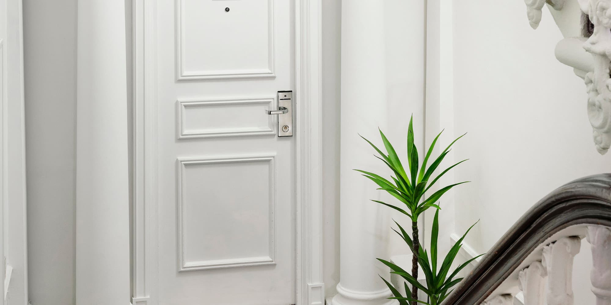 a white door with a carpeted staircase