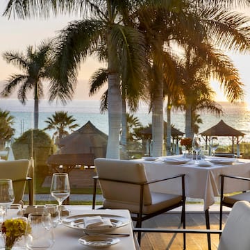 a table set for a dinner with palm trees and a beach in the background