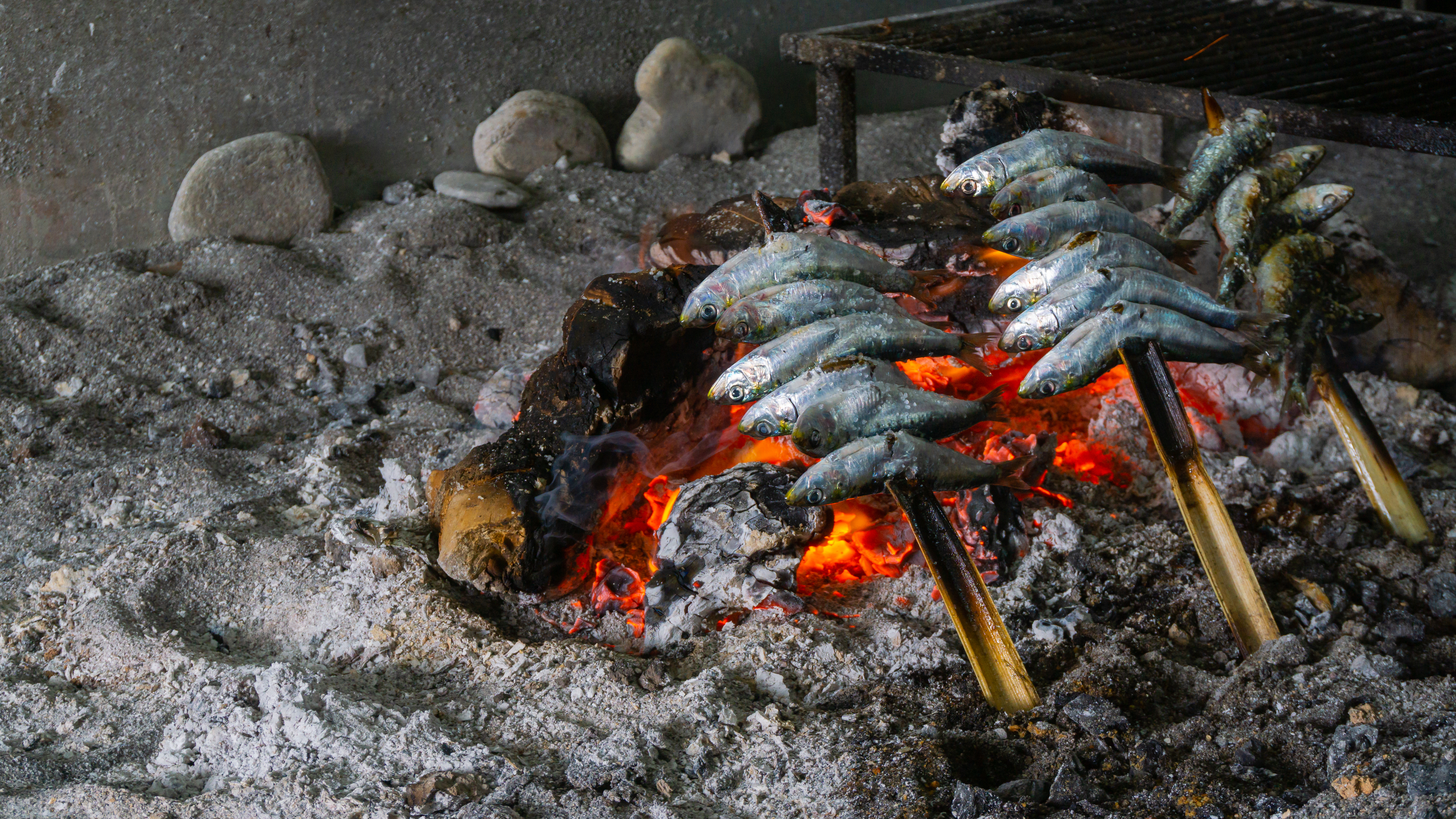 fish on a stick over a fire