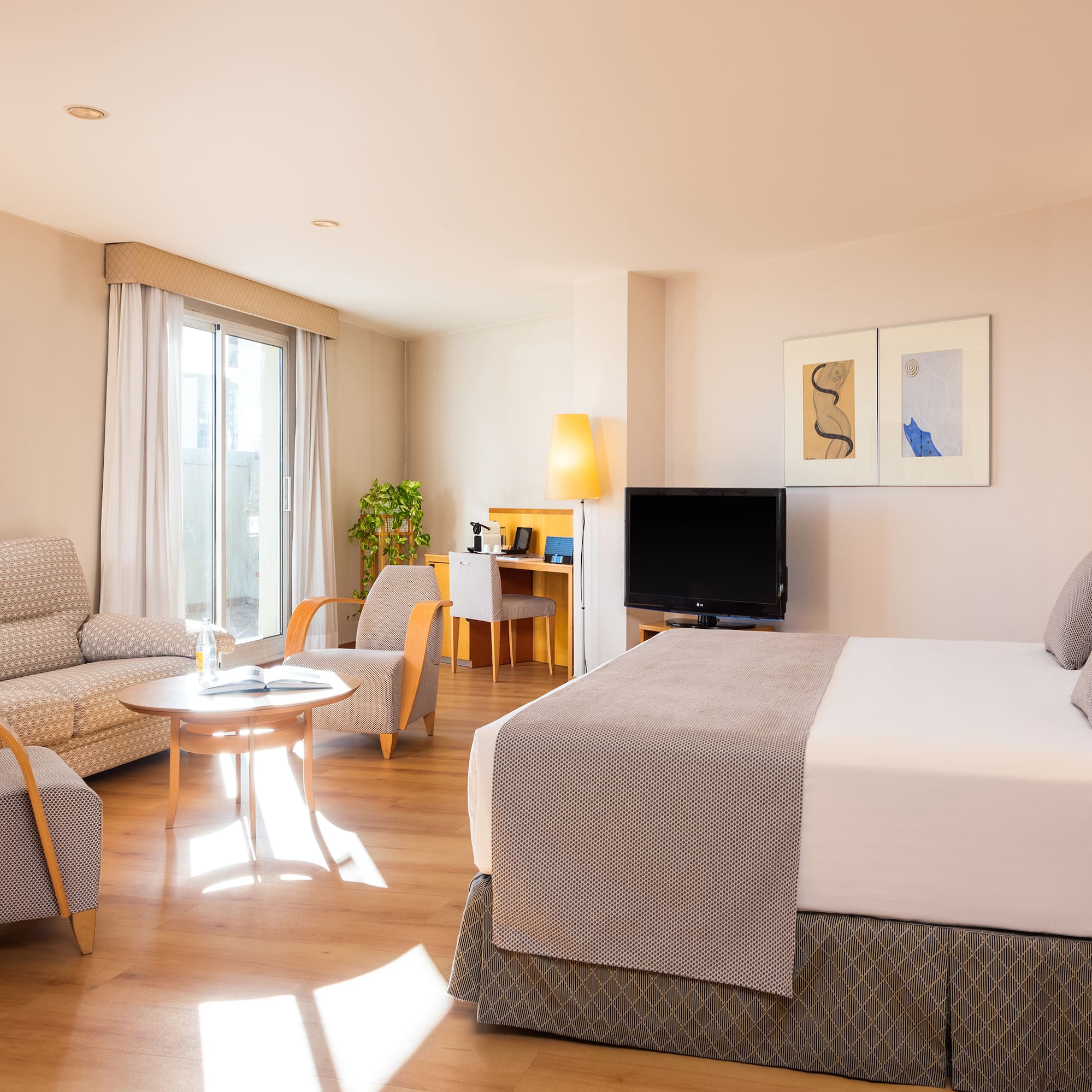 a room with a bed and a couch