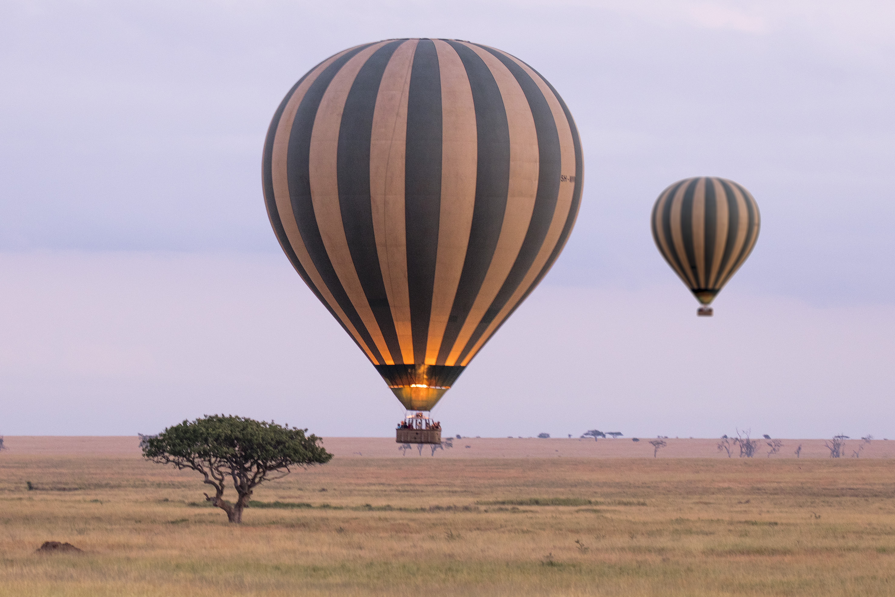 Hot air balloon safari with two striped balloons over a vast African savanna.