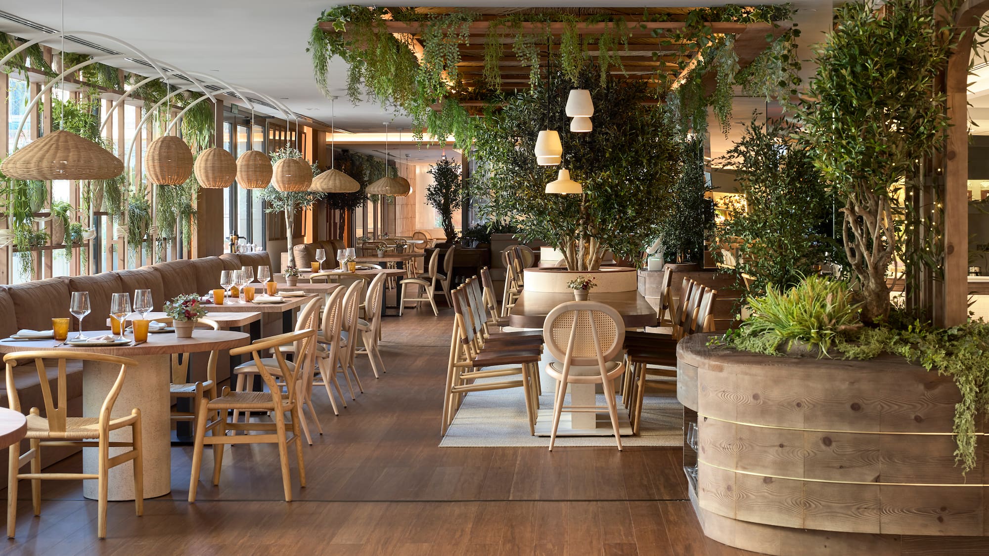 a restaurant with tables and chairs