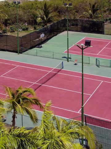 a tennis court with palm trees
