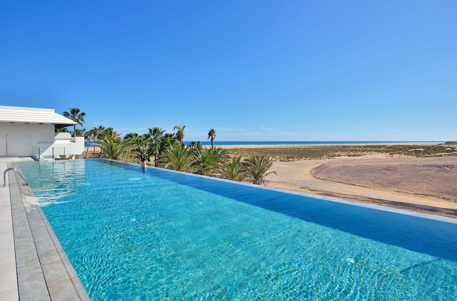 a pool with palm trees and a beach in the background