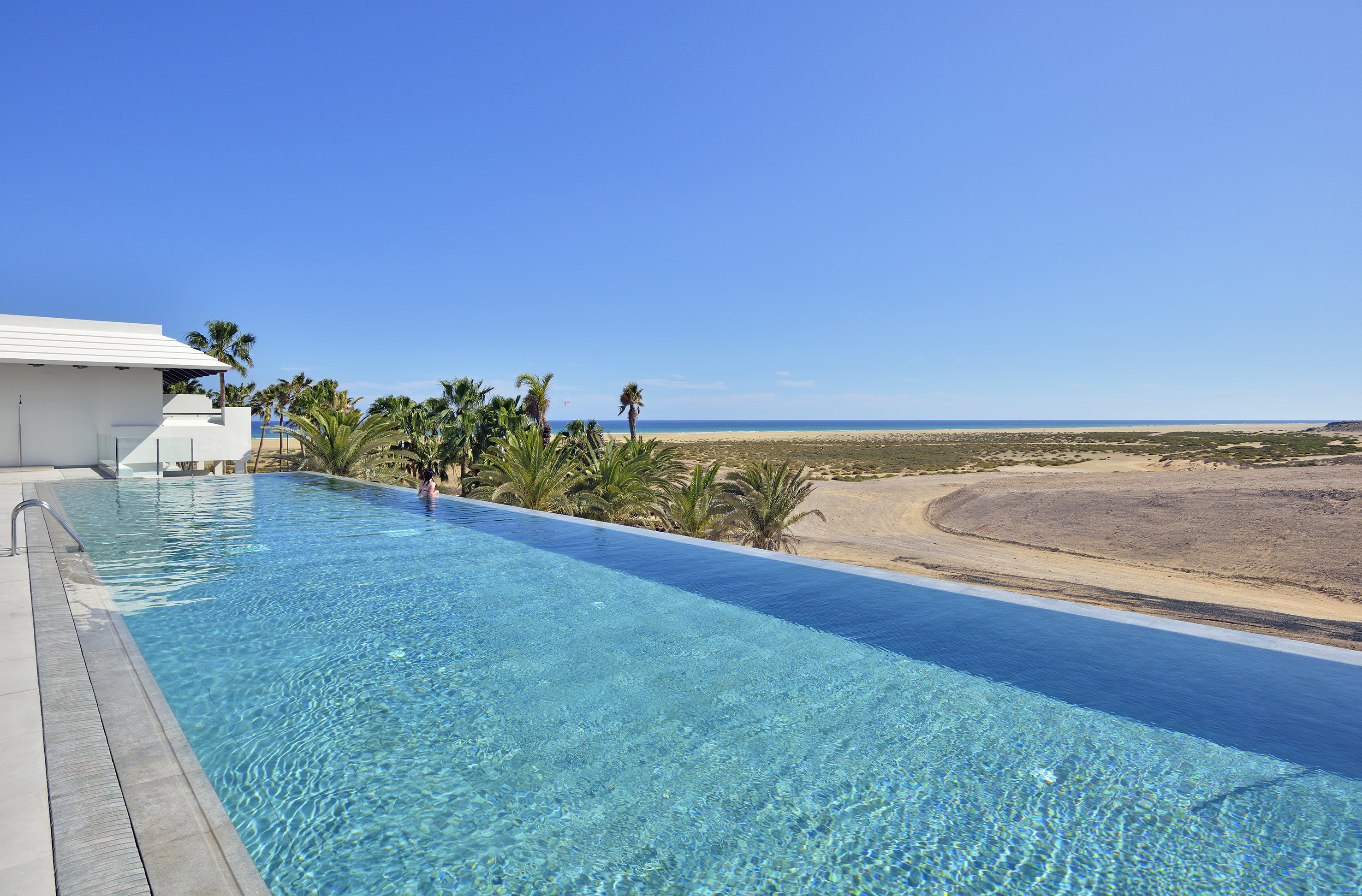 a pool with palm trees and a beach in the background