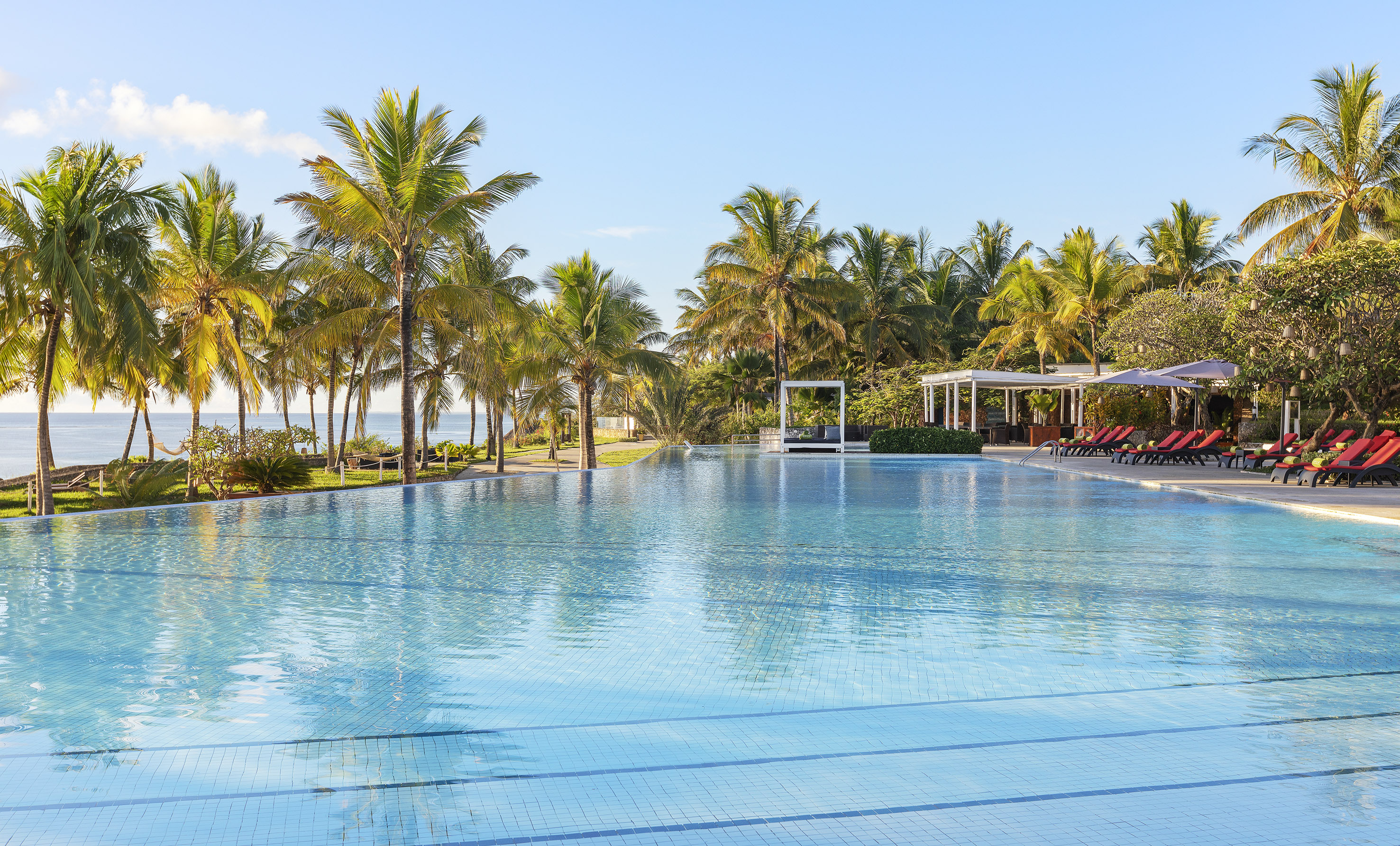 Luxury resort pool with palm trees, lounge chairs, and ocean backdrop.