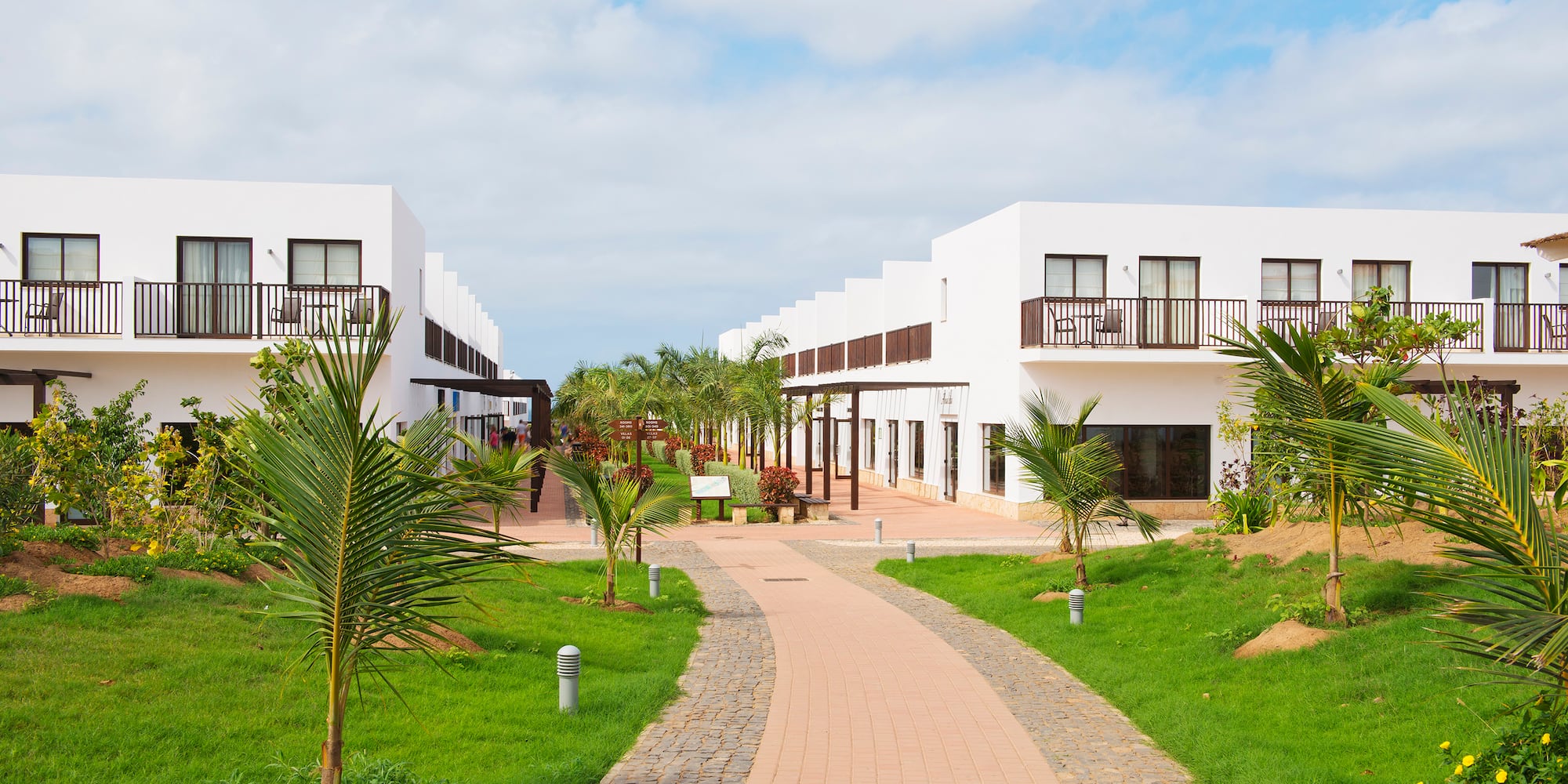 a walkway with trees and buildings in the background