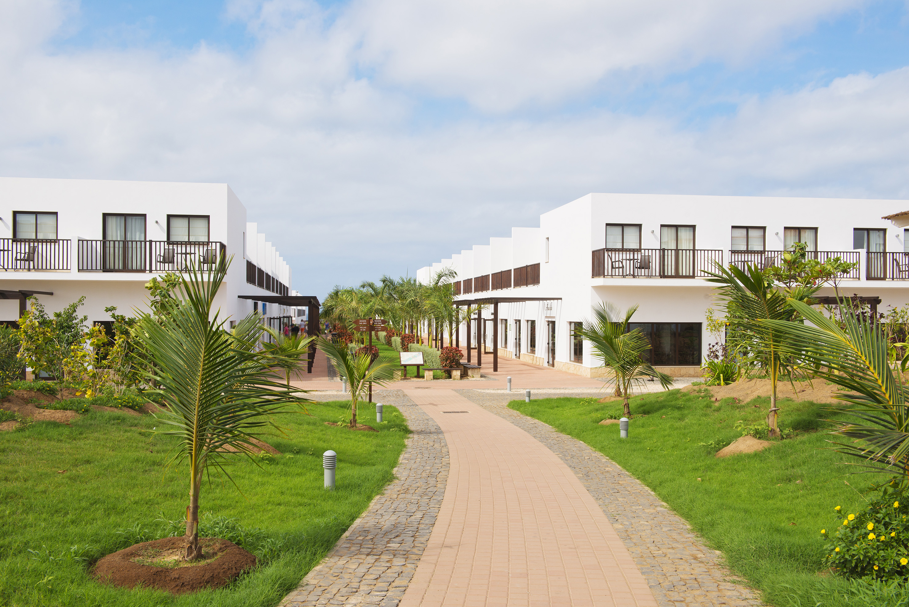 a walkway with trees and buildings in the background