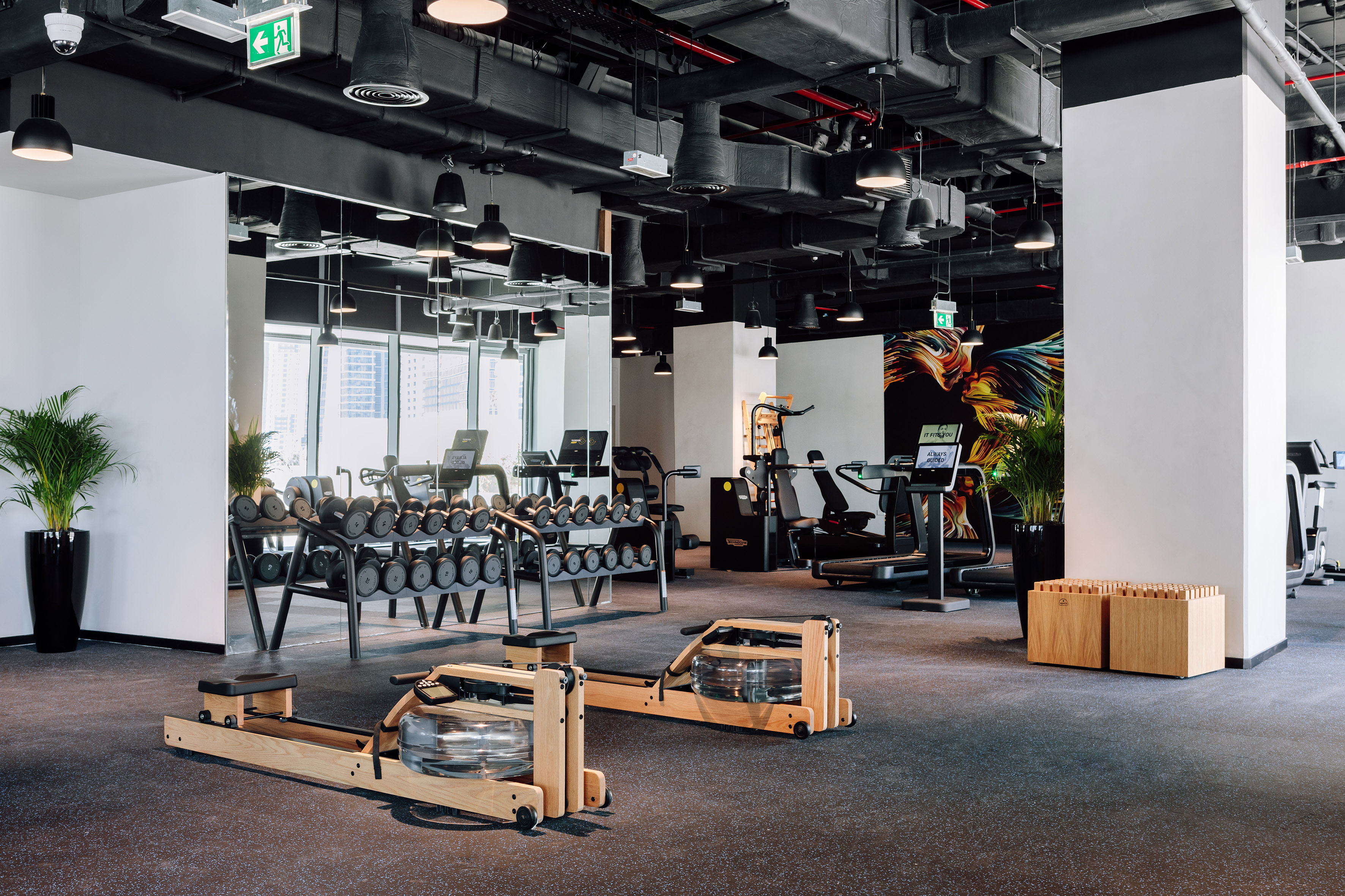 Modern gym with wooden rowing machines, dumbbell rack, and treadmills.