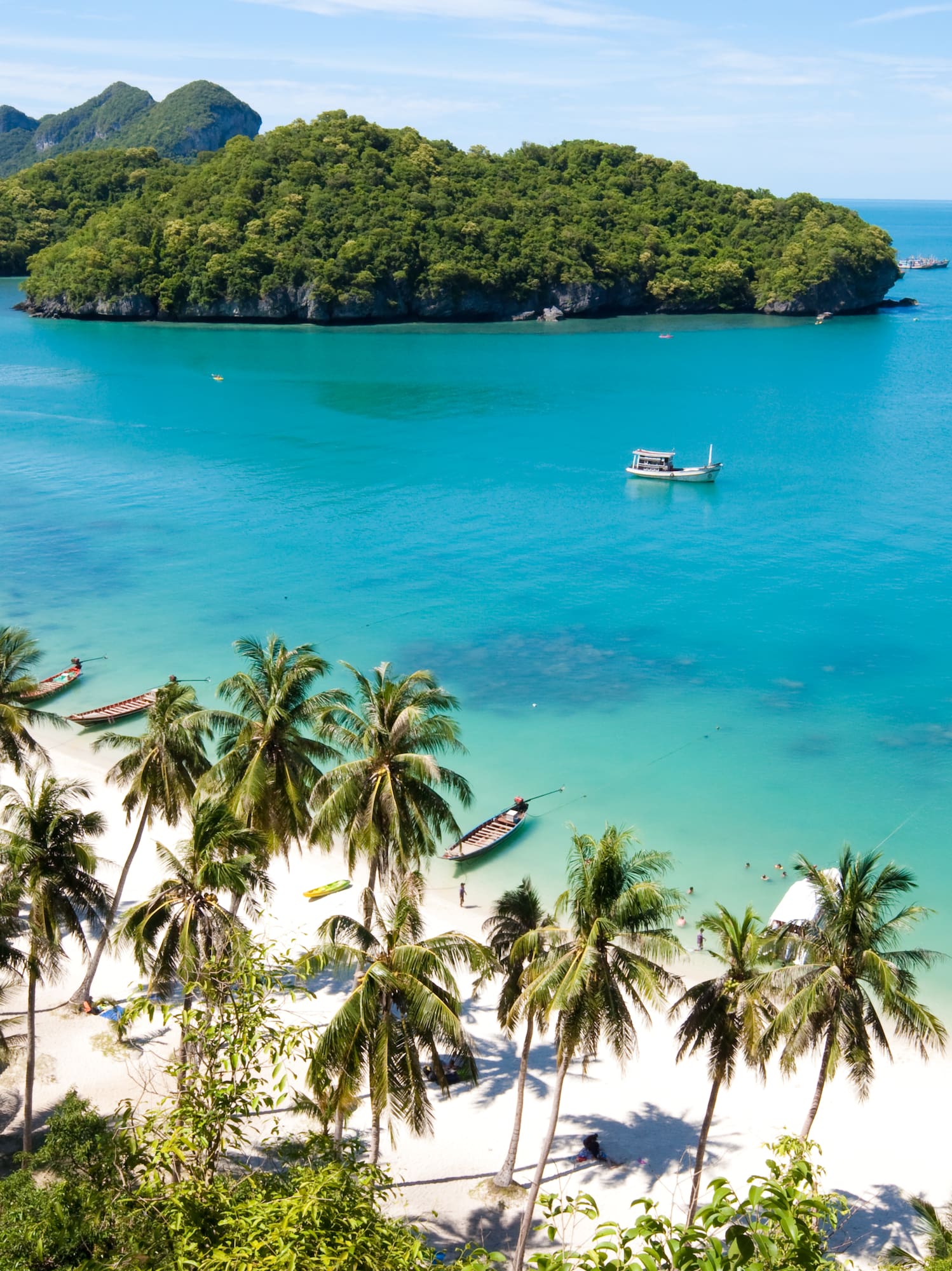 a beach with boats and palm trees