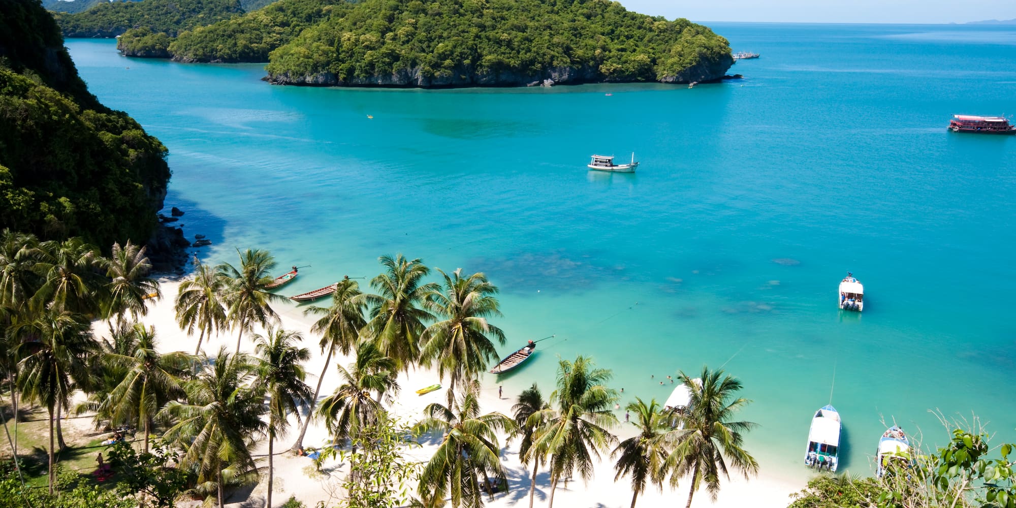 a beach with boats and palm trees