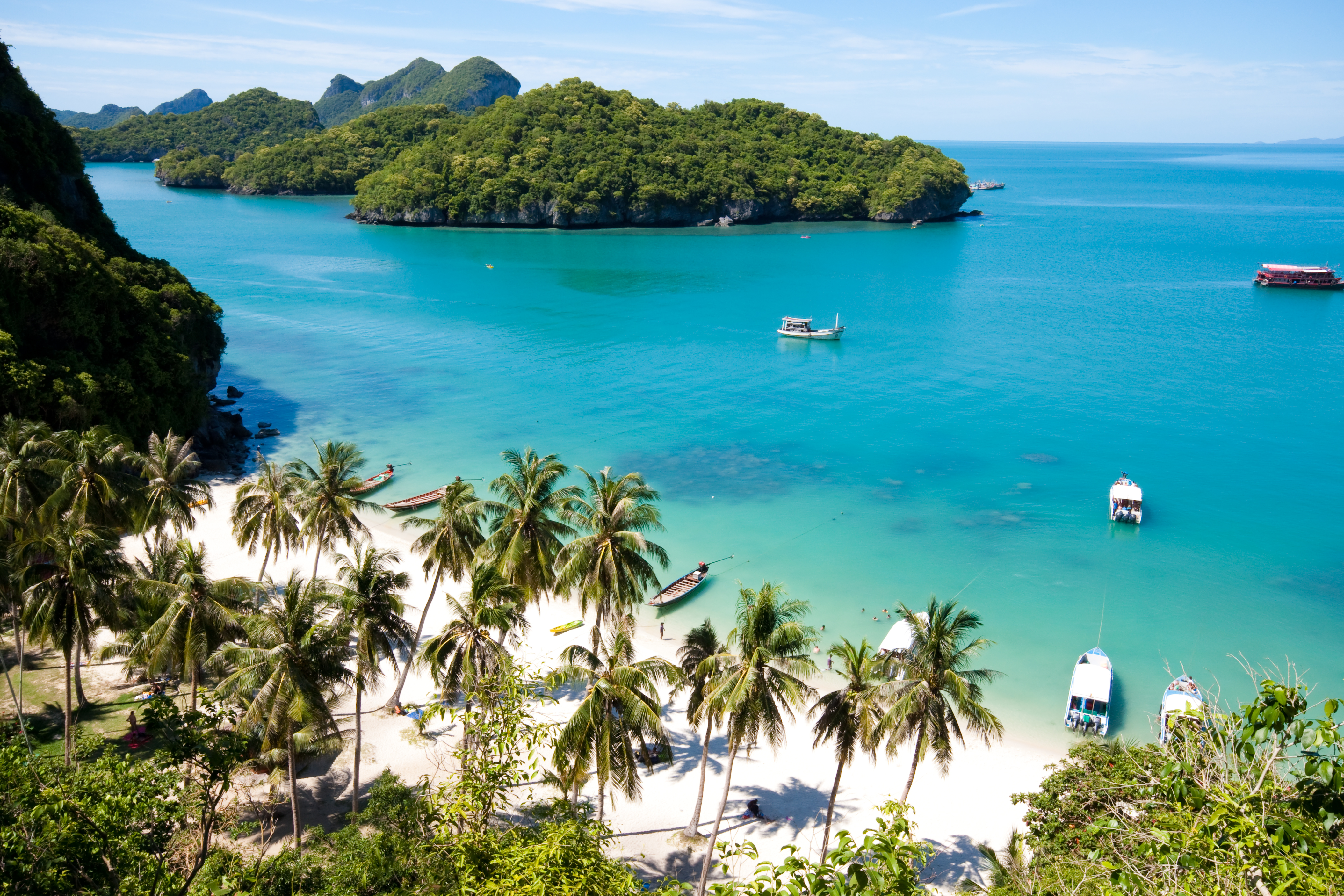 a beach with boats and palm trees