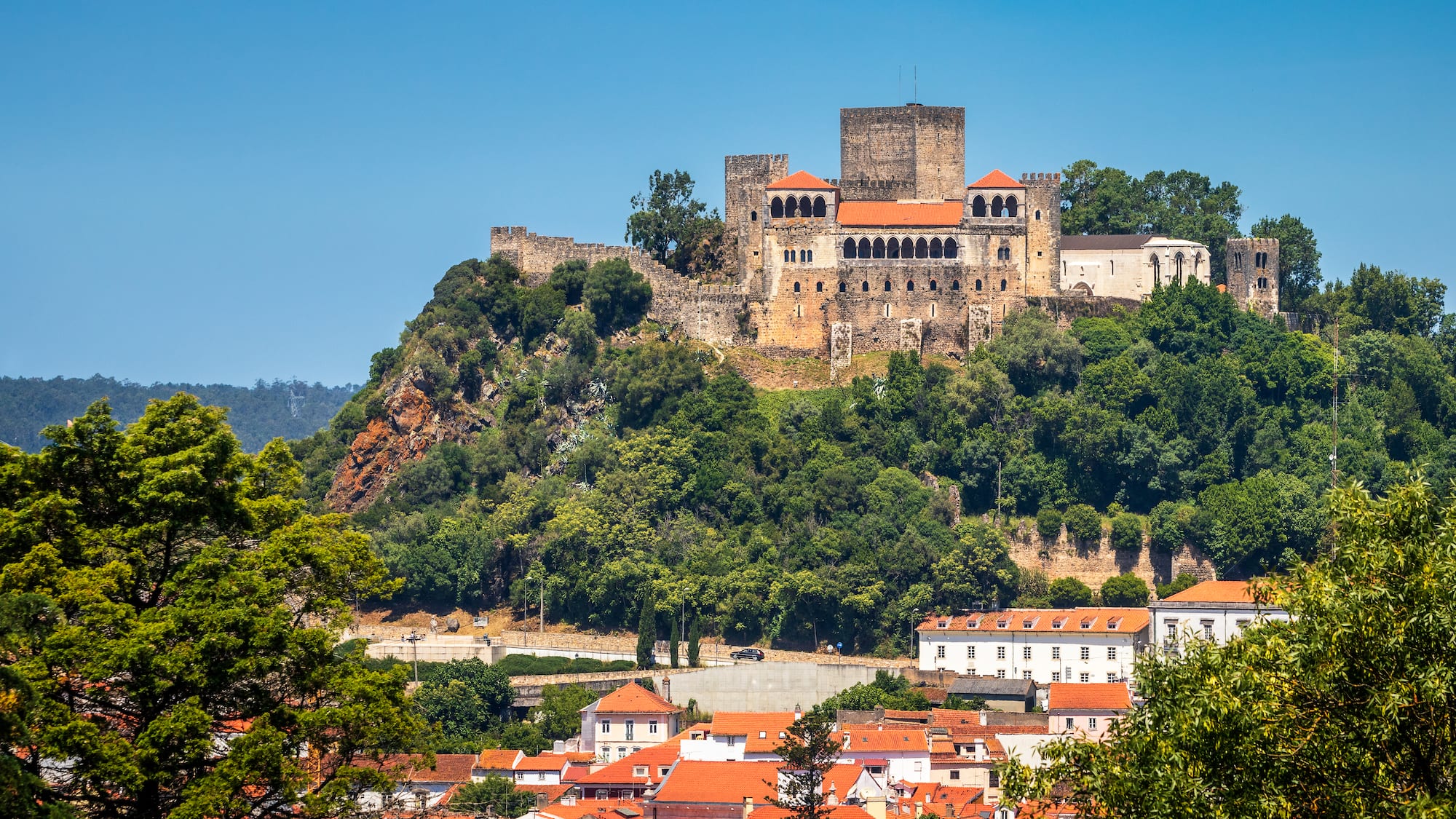 a castle on a hill with trees and buildings