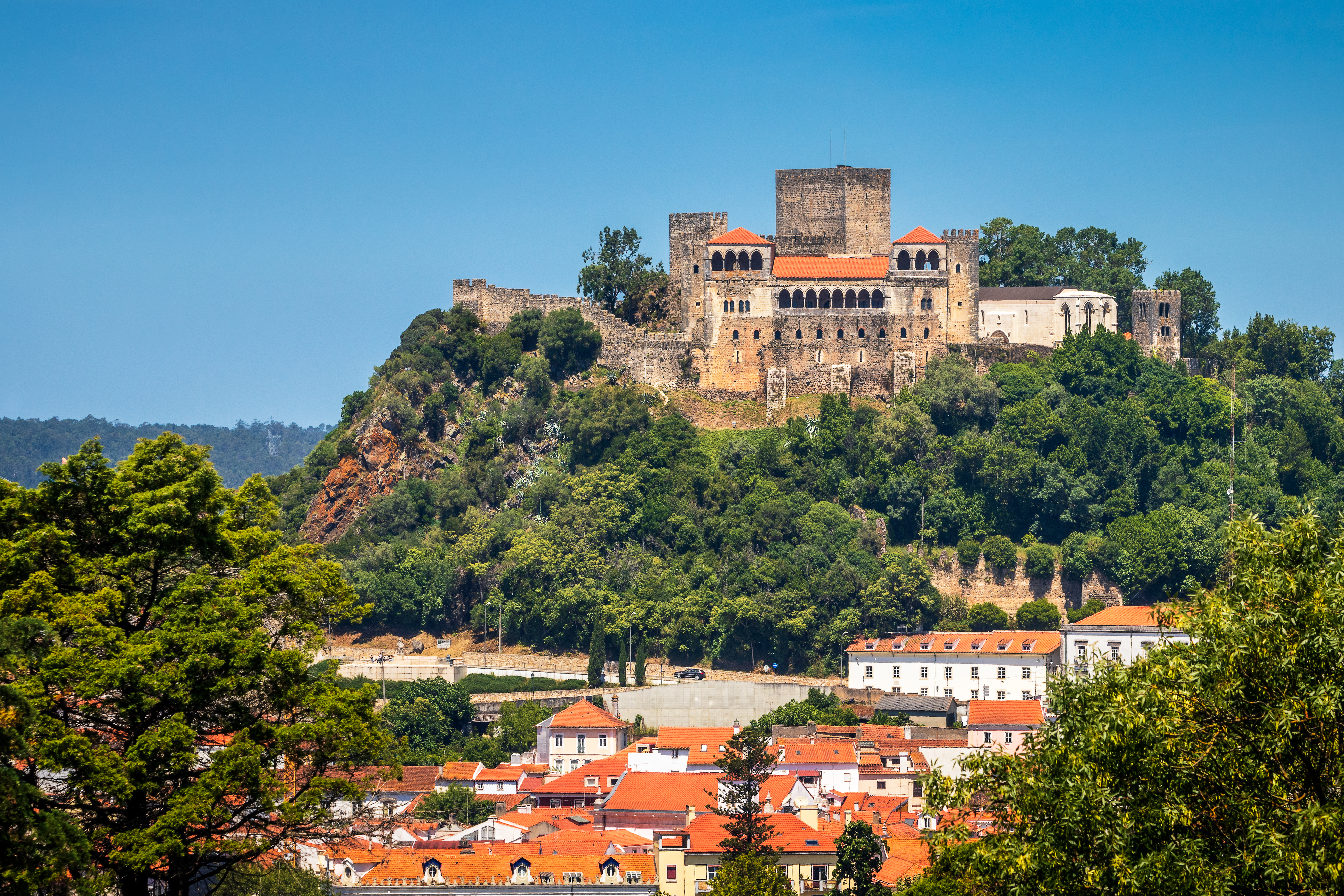 a castle on a hill with trees and buildings