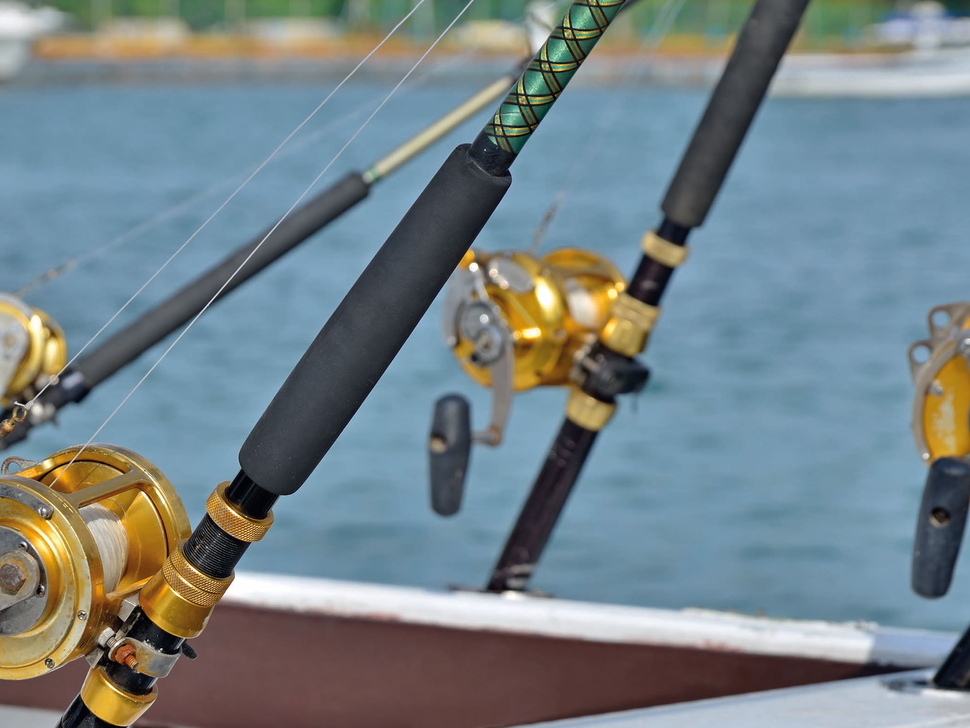 fishing rods and a boat on the water