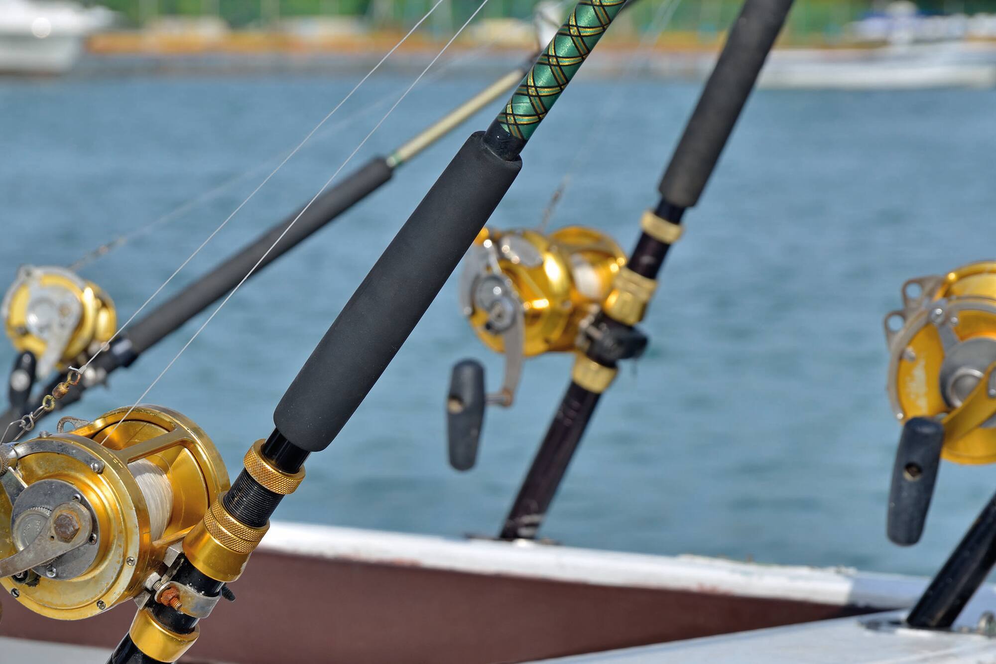 fishing rods and a boat on the water