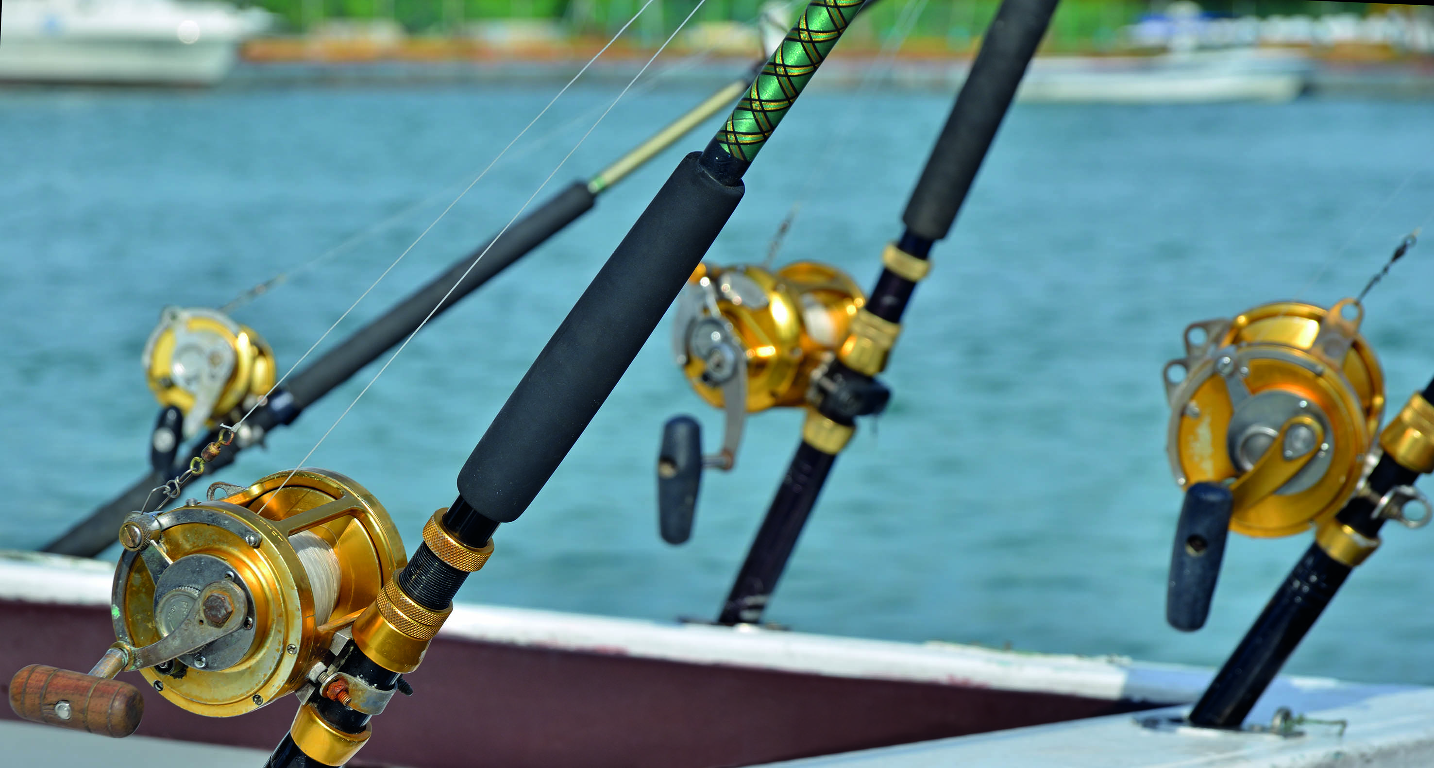 fishing rods and a boat on the water