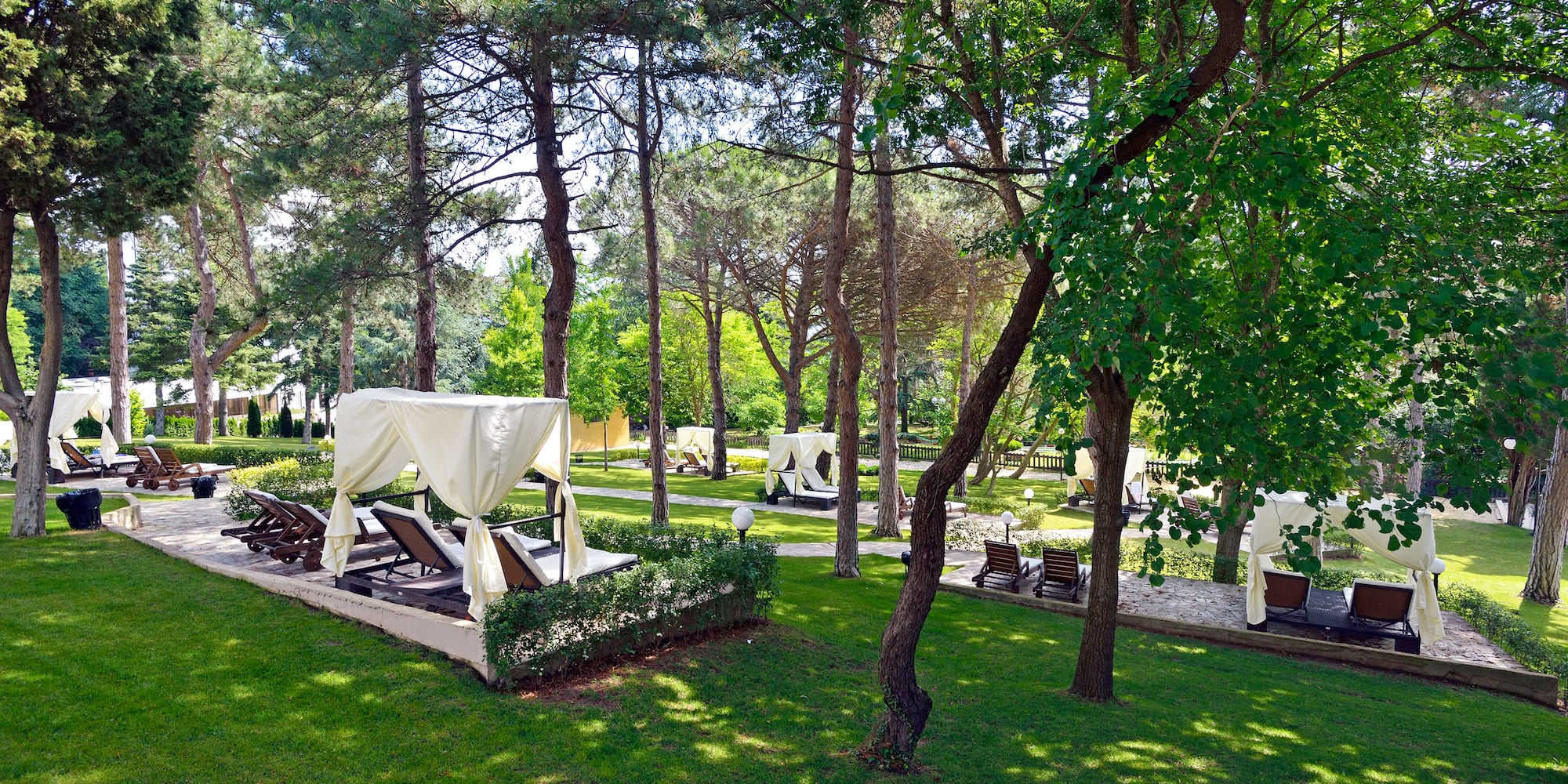 a lawn with chairs and trees