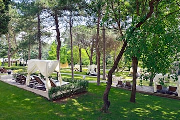 a lawn with chairs and trees