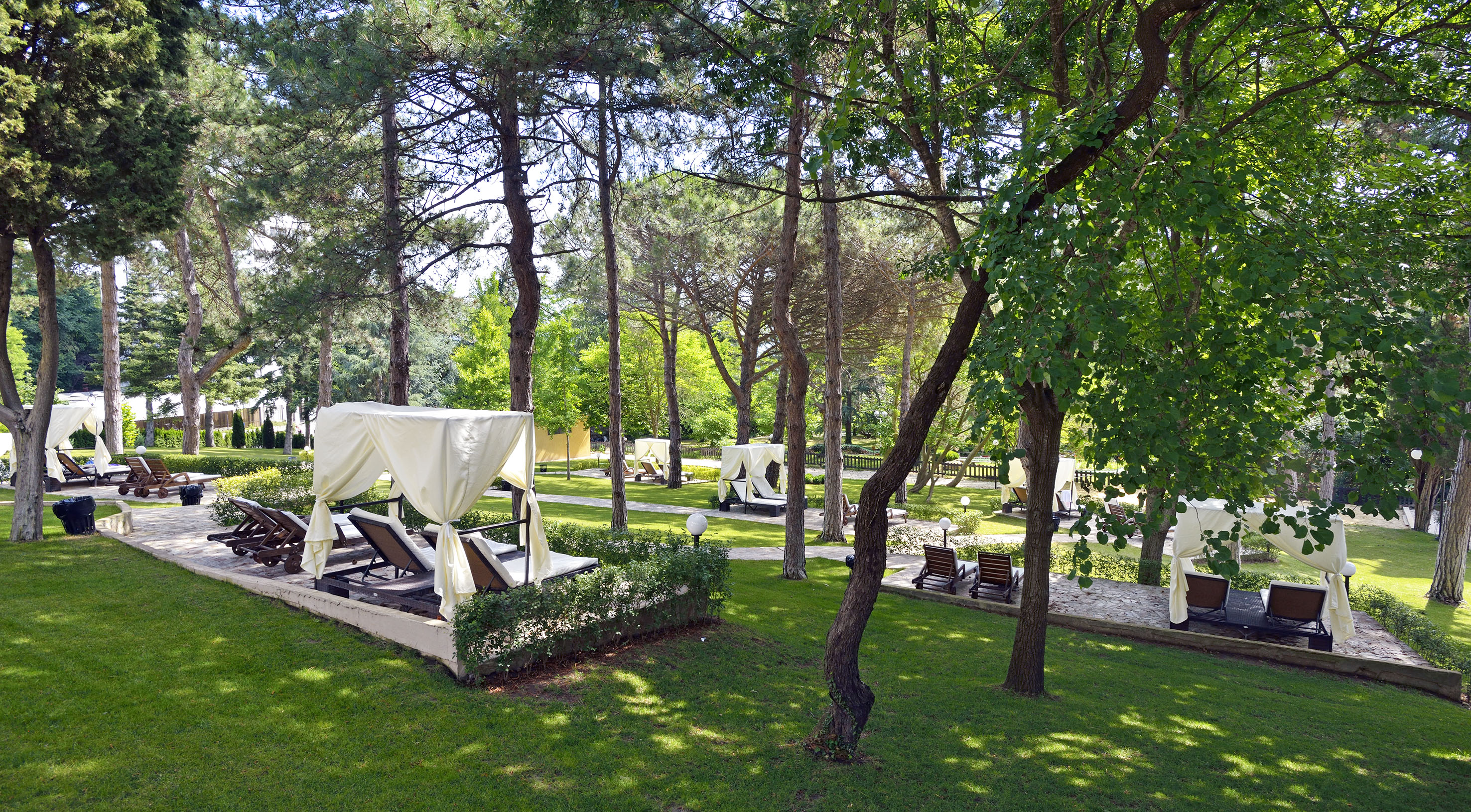 a lawn with chairs and trees