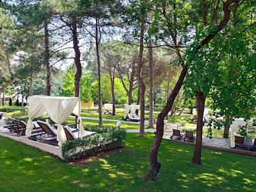 a lawn with chairs and trees