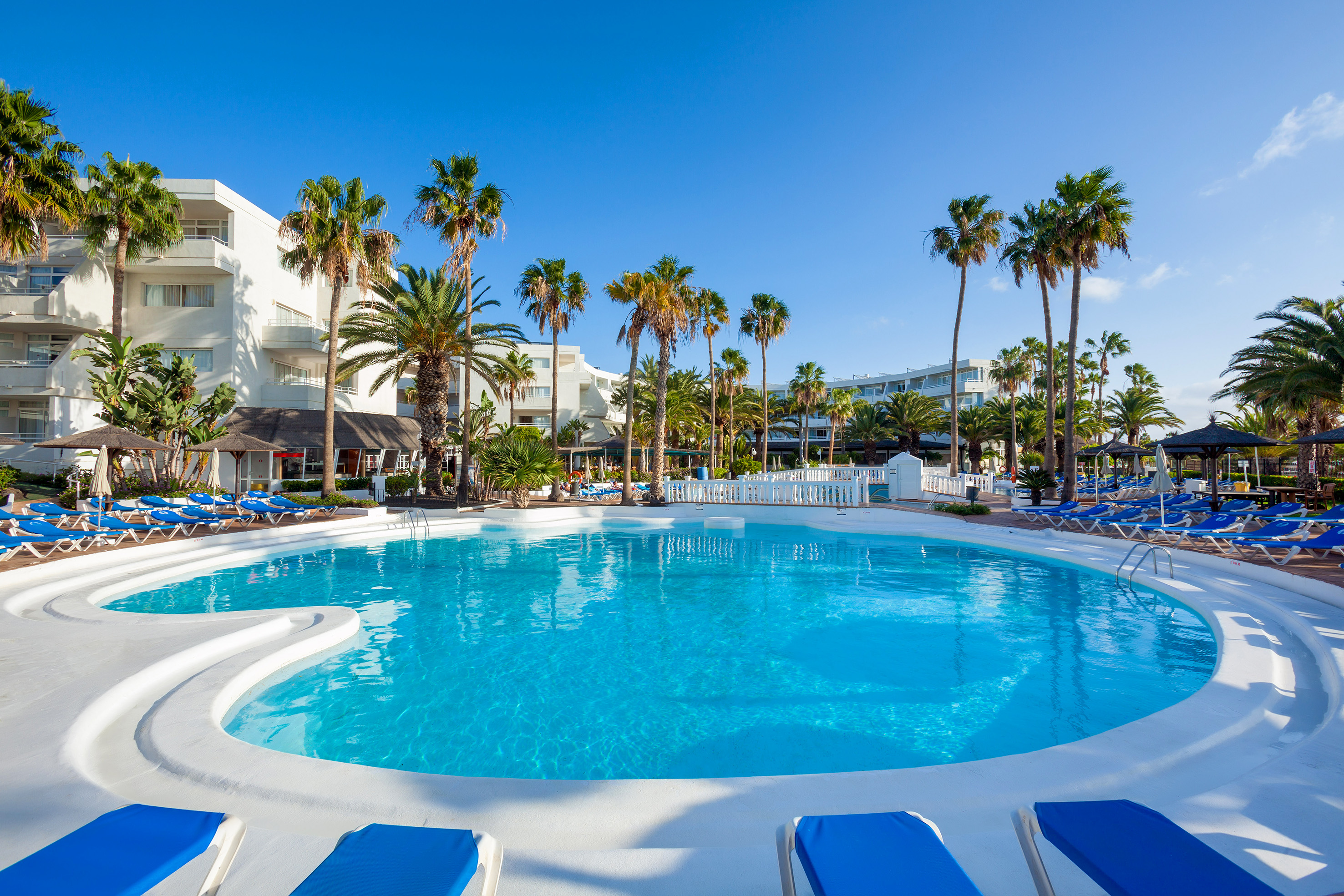 Tropical hotel resort pool with palm trees, blue loungers, and white buildings.