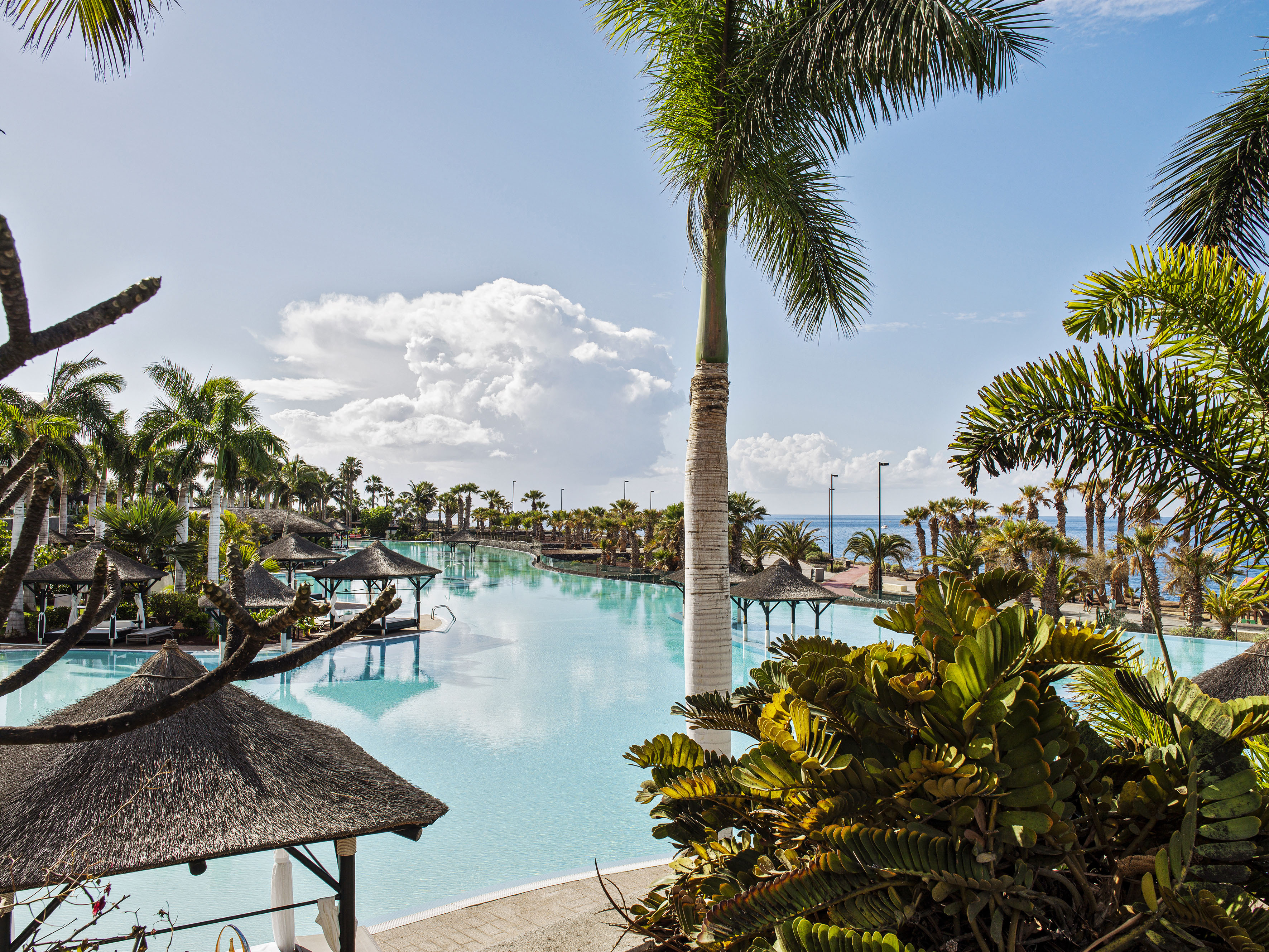 Luxury resort pool with lush palm trees, thatched cabanas, and distant ocean view.
