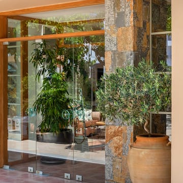a glass door with a potted plant in front of it