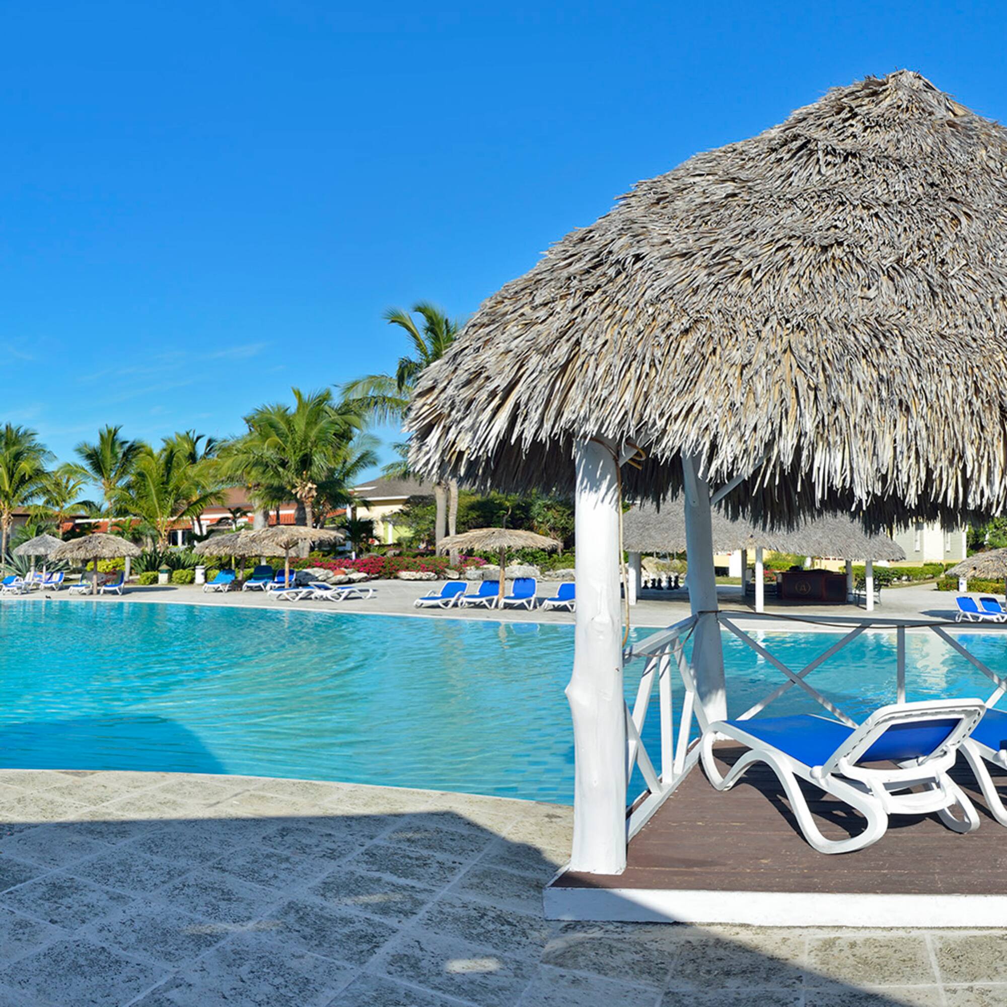 a pool with a thatched roof and lounge chairs