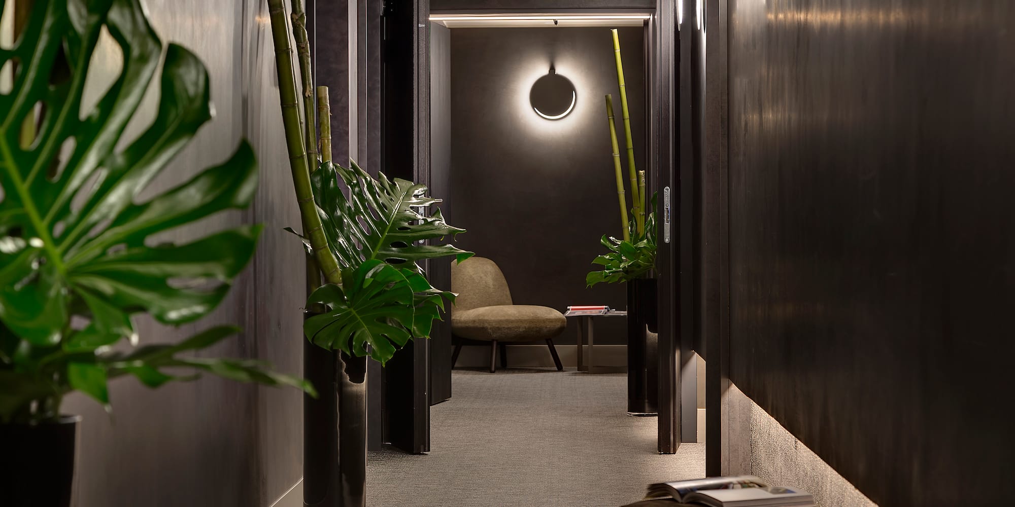 a hallway with plants and a chair