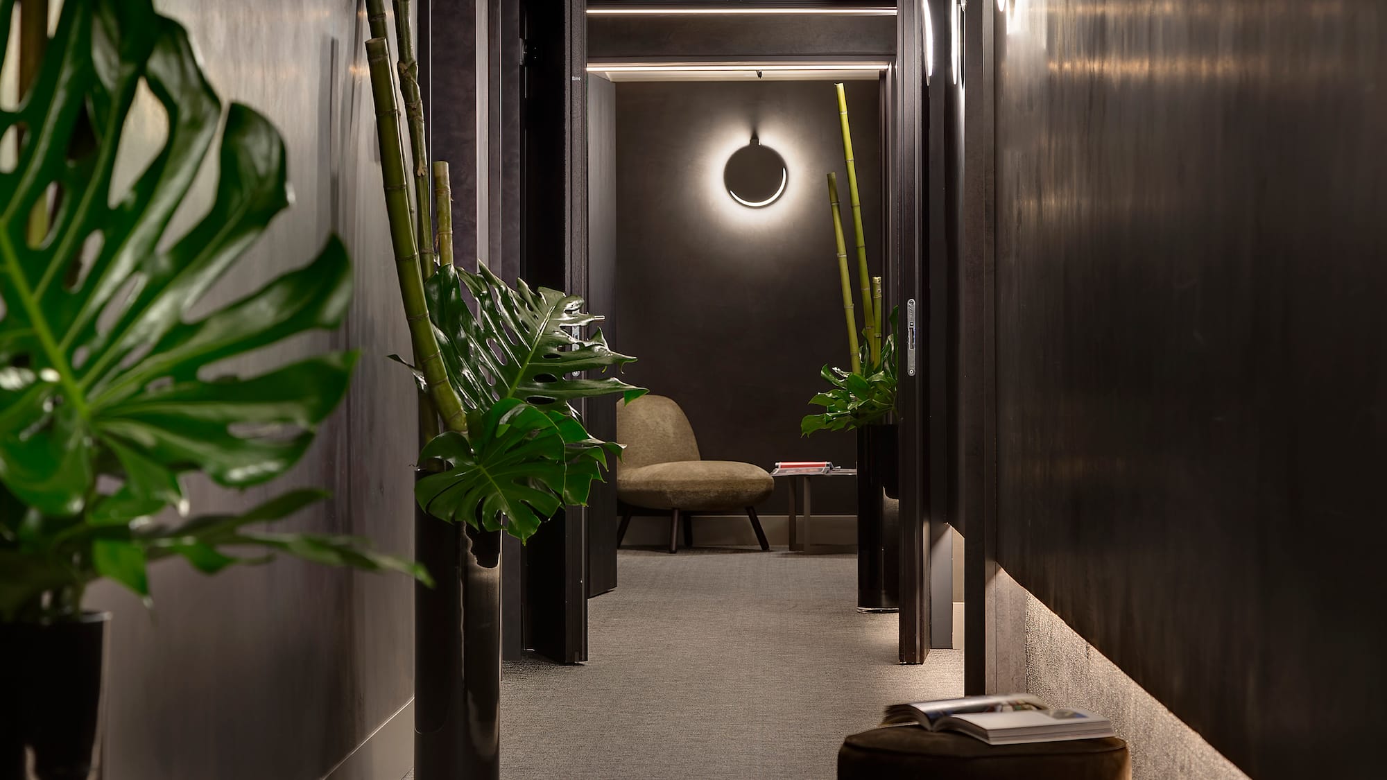 a hallway with plants and a chair