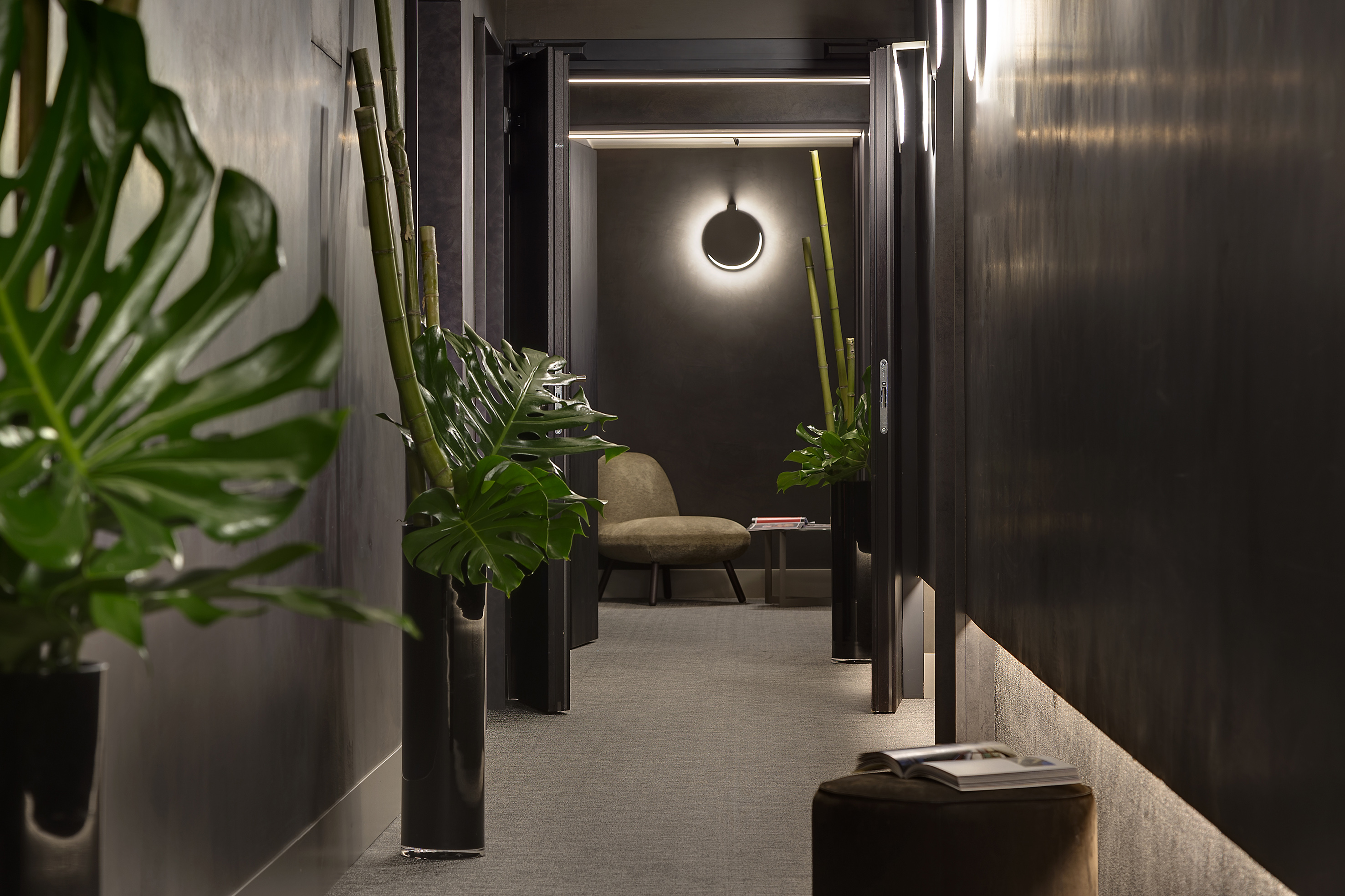 Dark hallway with Monstera plants, gray carpet, and illuminated waiting area.