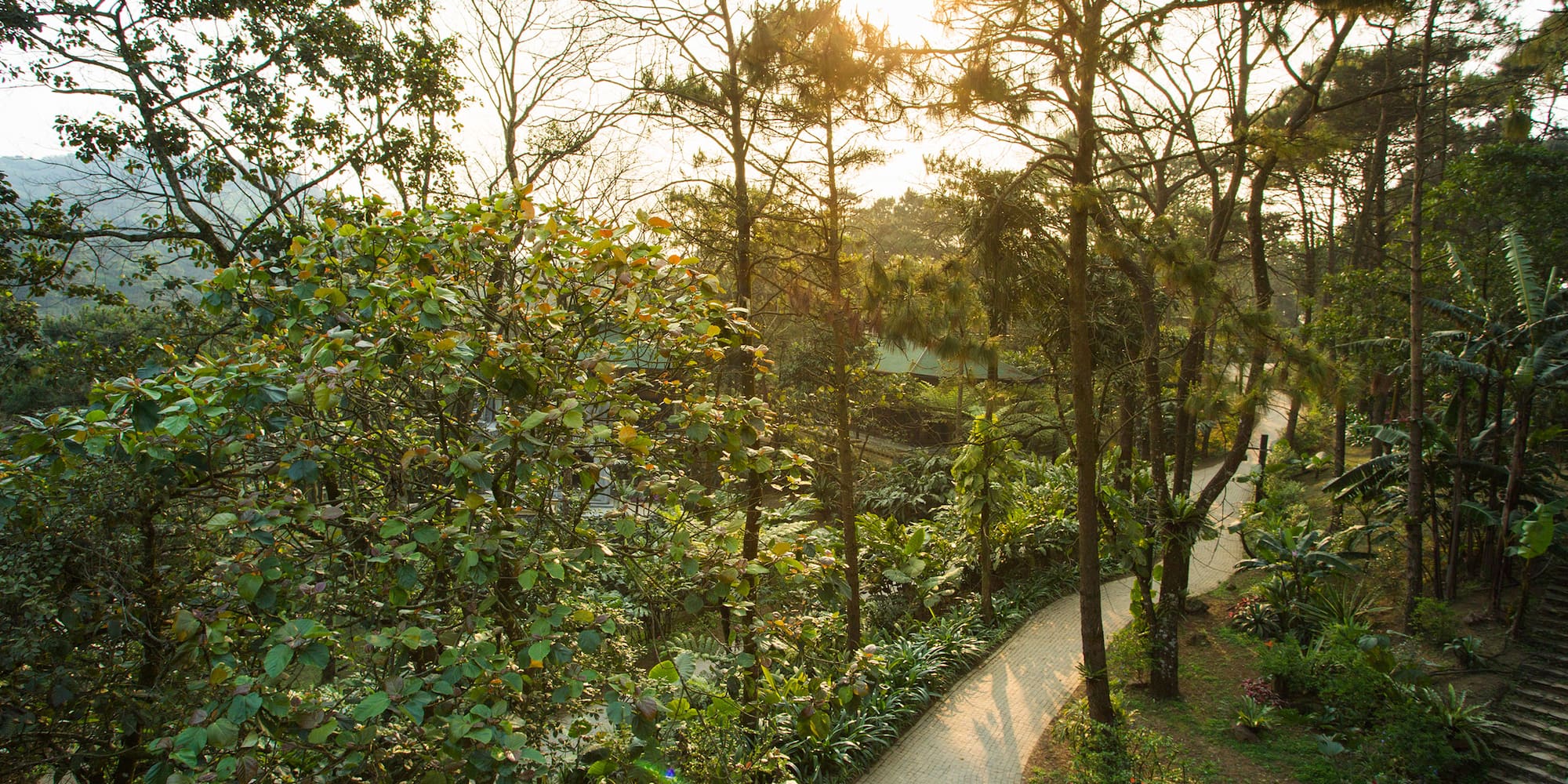 a path through a park