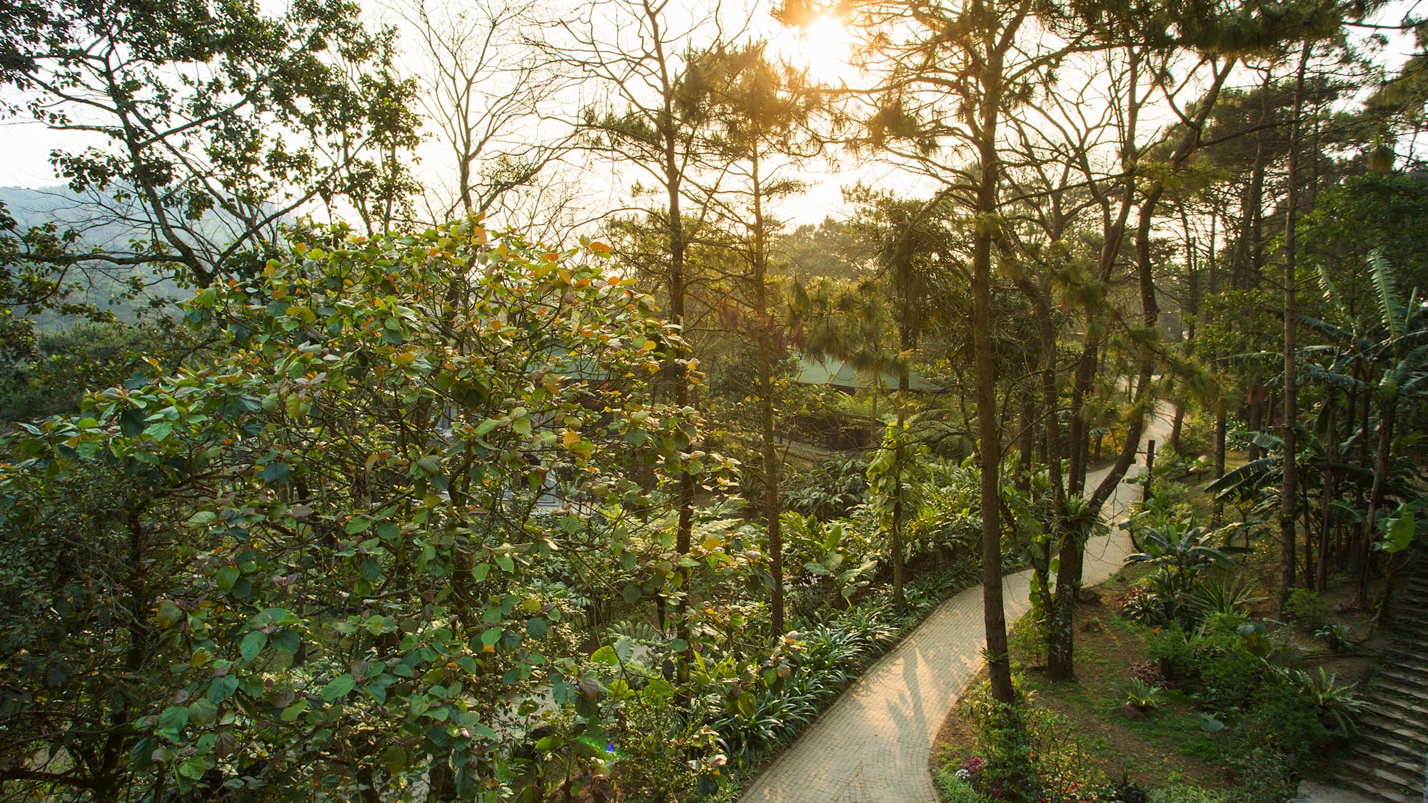 a path through a park
