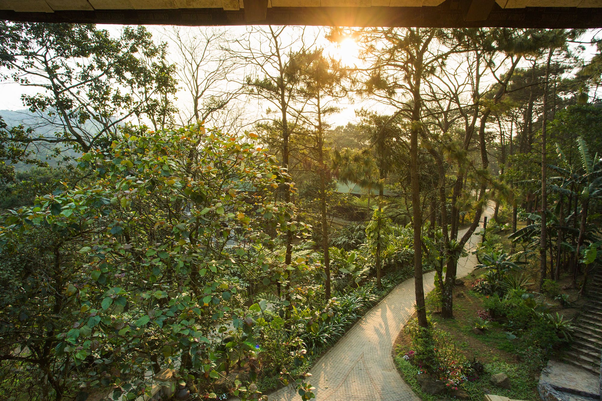 a path through a park