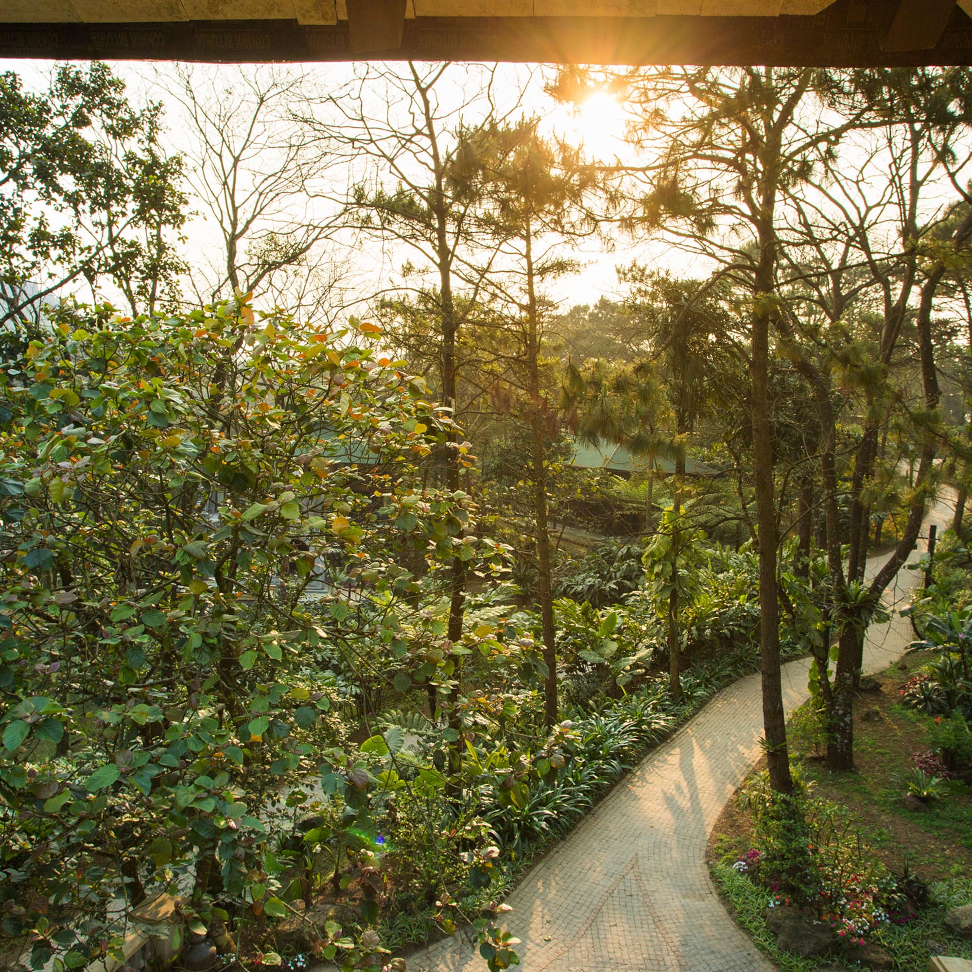 a path through a park