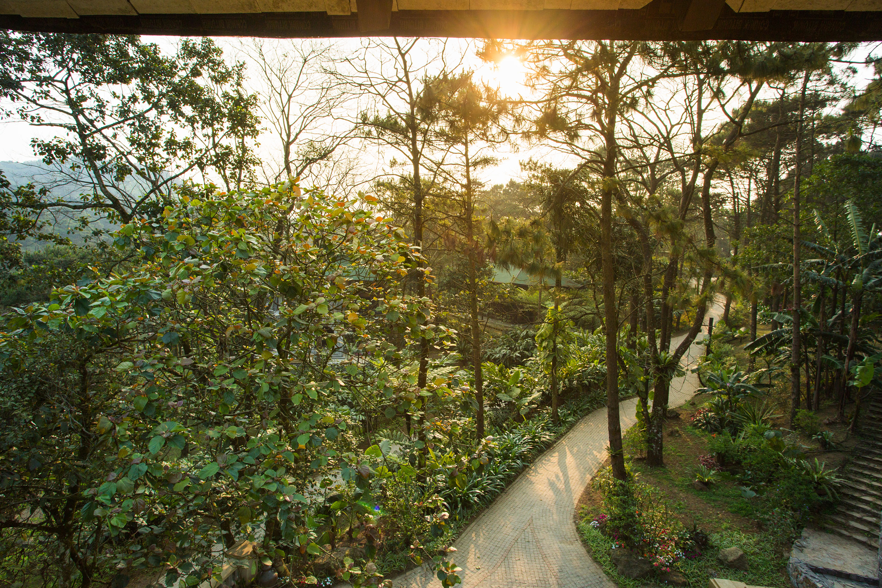 a path through a park