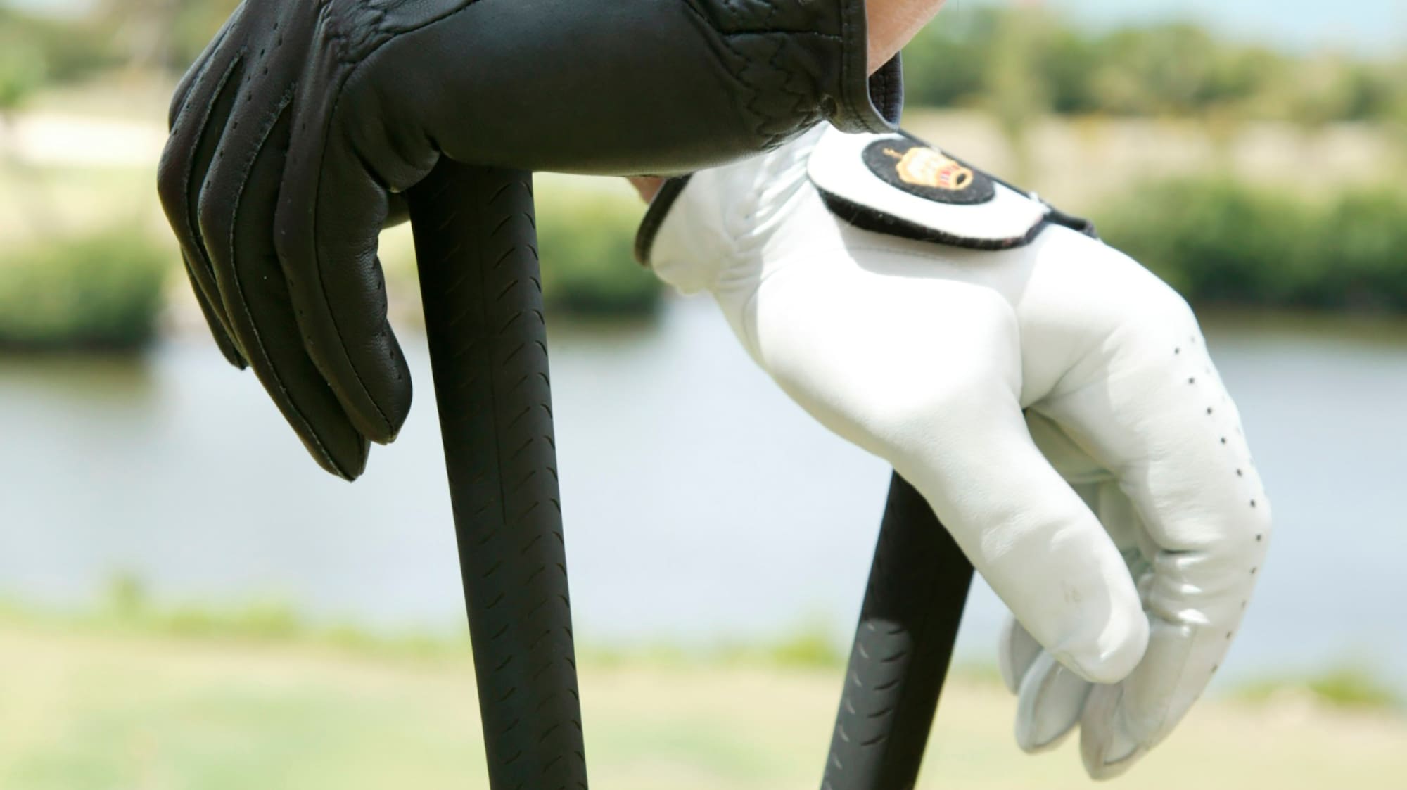 a pair of hands wearing gloves