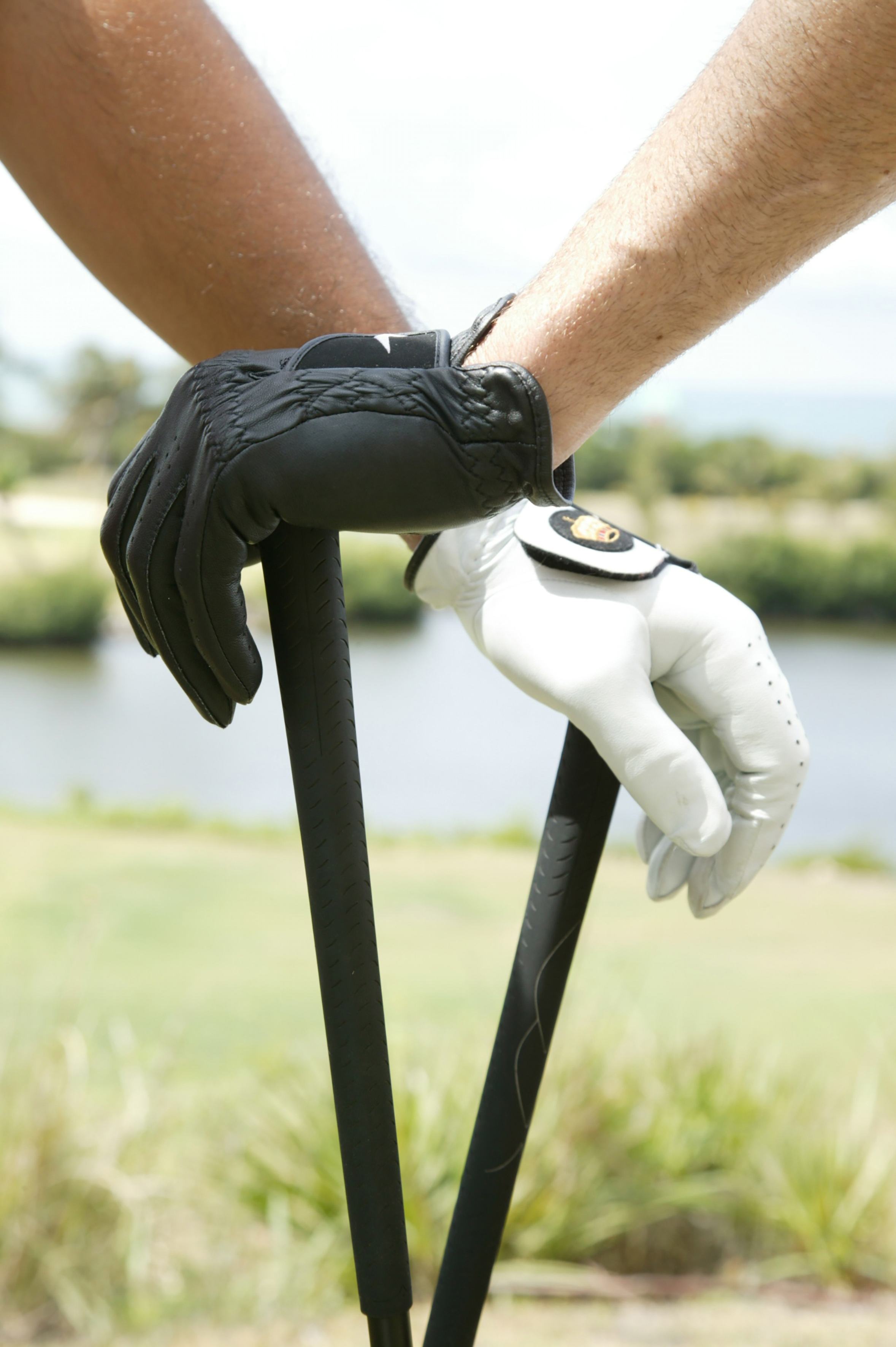 a pair of hands wearing gloves