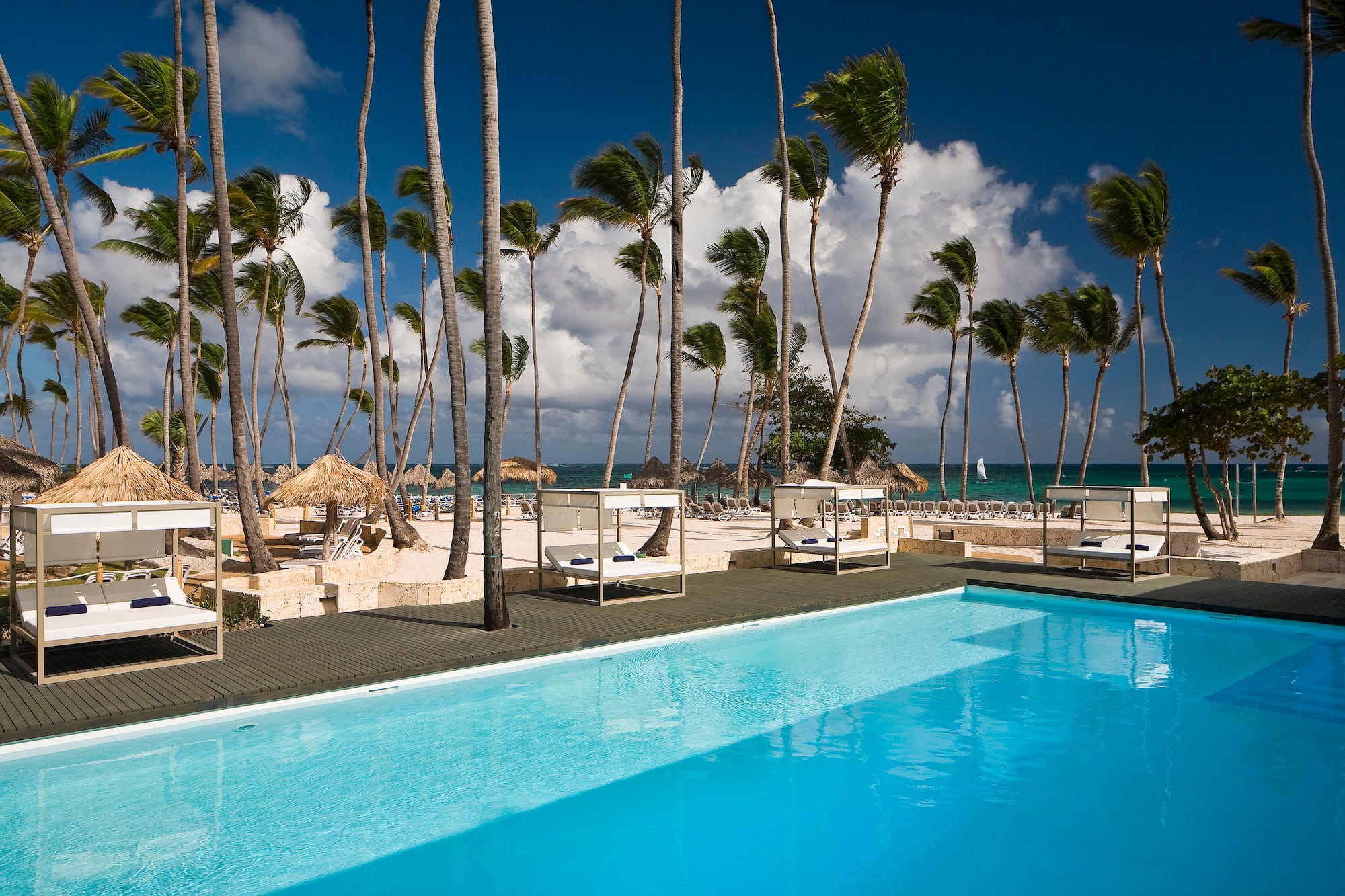 a pool with palm trees and a beach