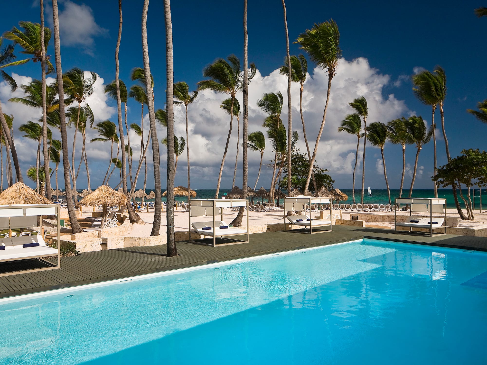 a pool with palm trees and a beach