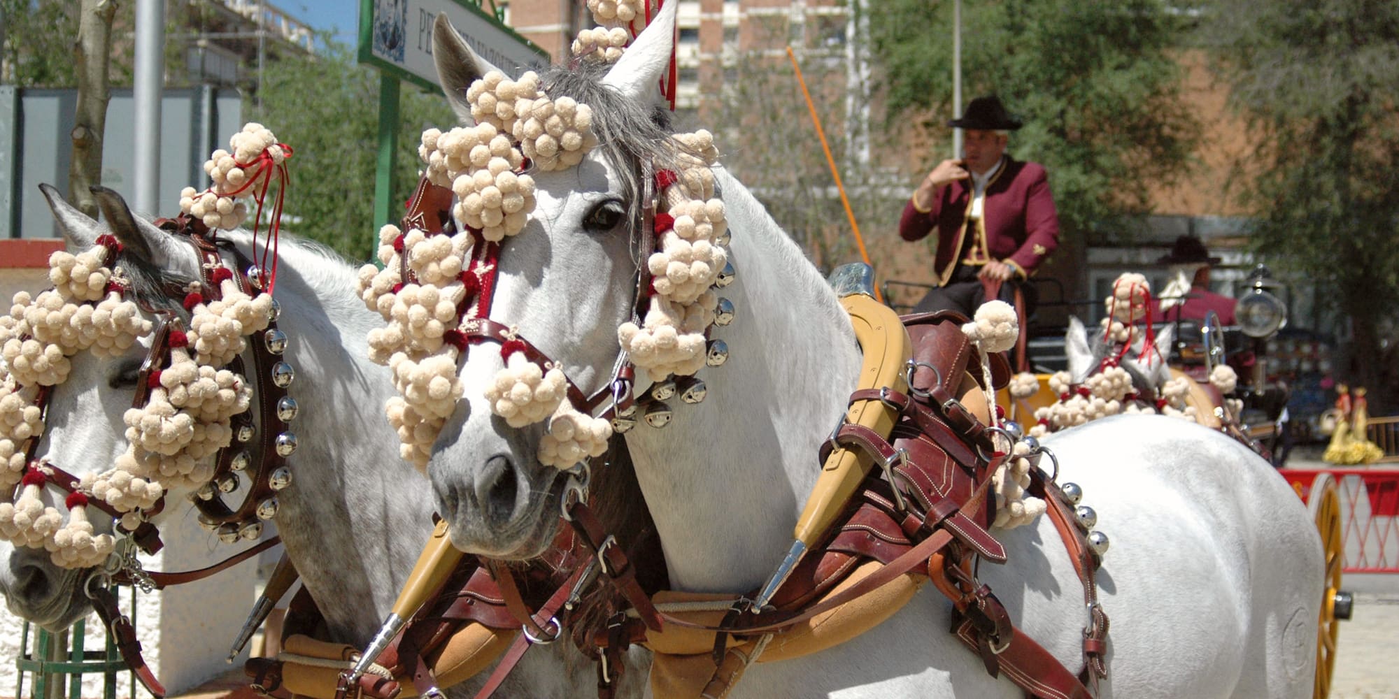 a group of horses with flowers on them
