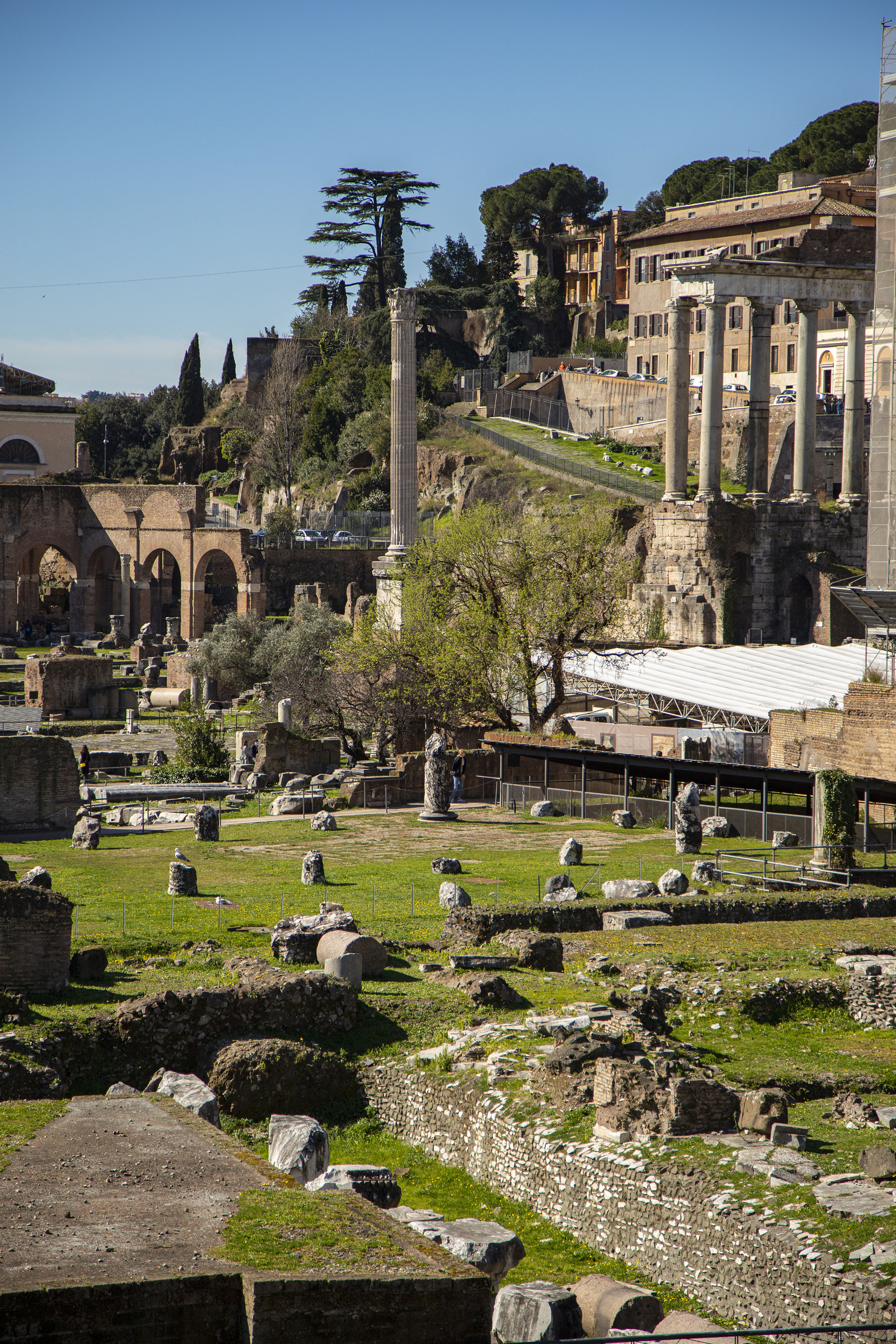 Roman Forum ruins with ancient columns, arches, and green grass in Rome, Italy.