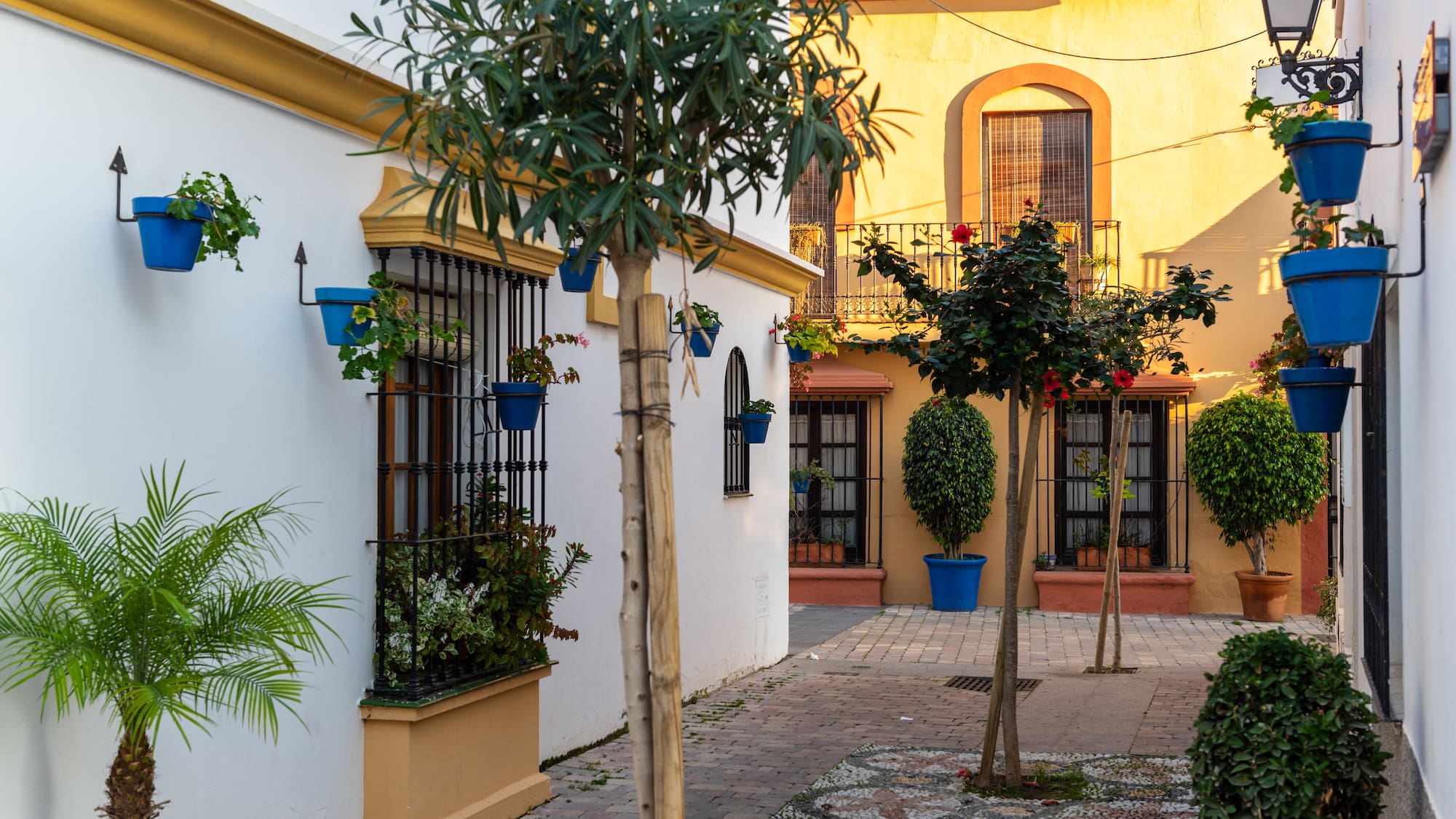 a courtyard with trees and plants in pots