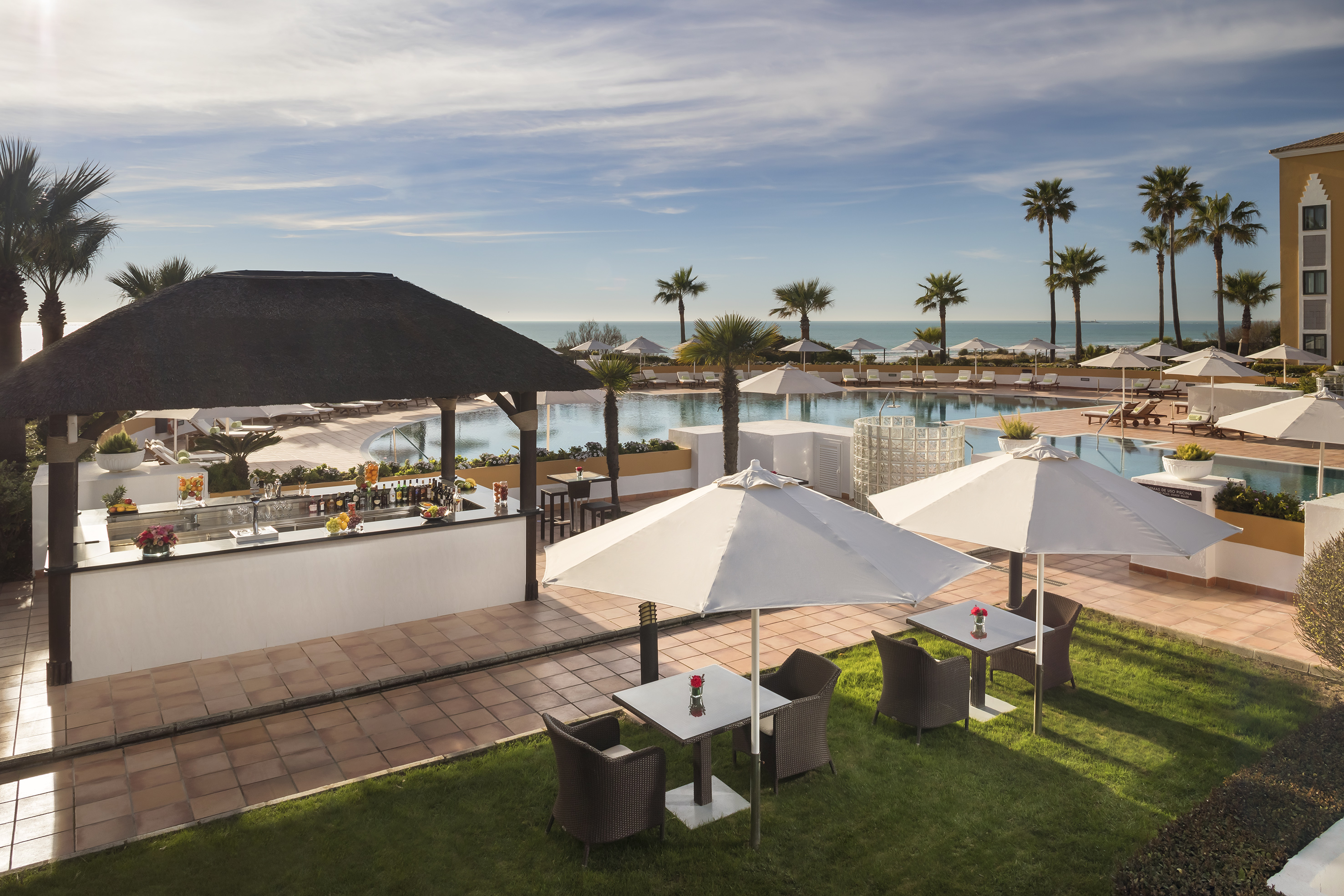 Sunny resort pool bar, swimming pool, palm trees, and ocean view.