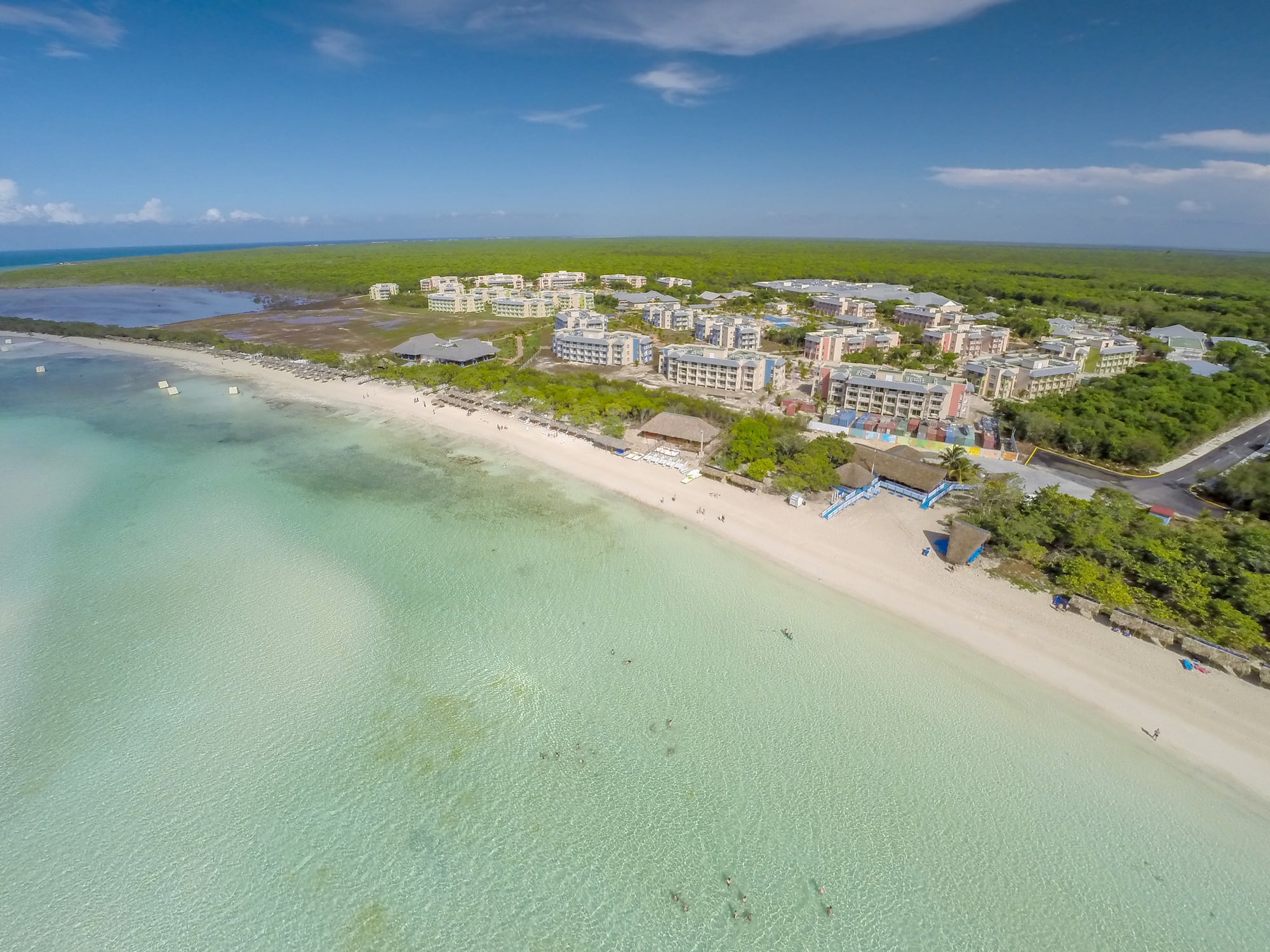 a beach with buildings and trees