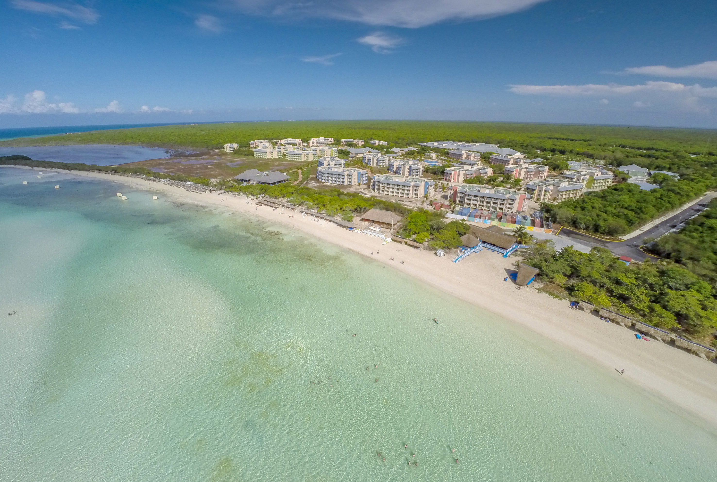 a beach with buildings and trees