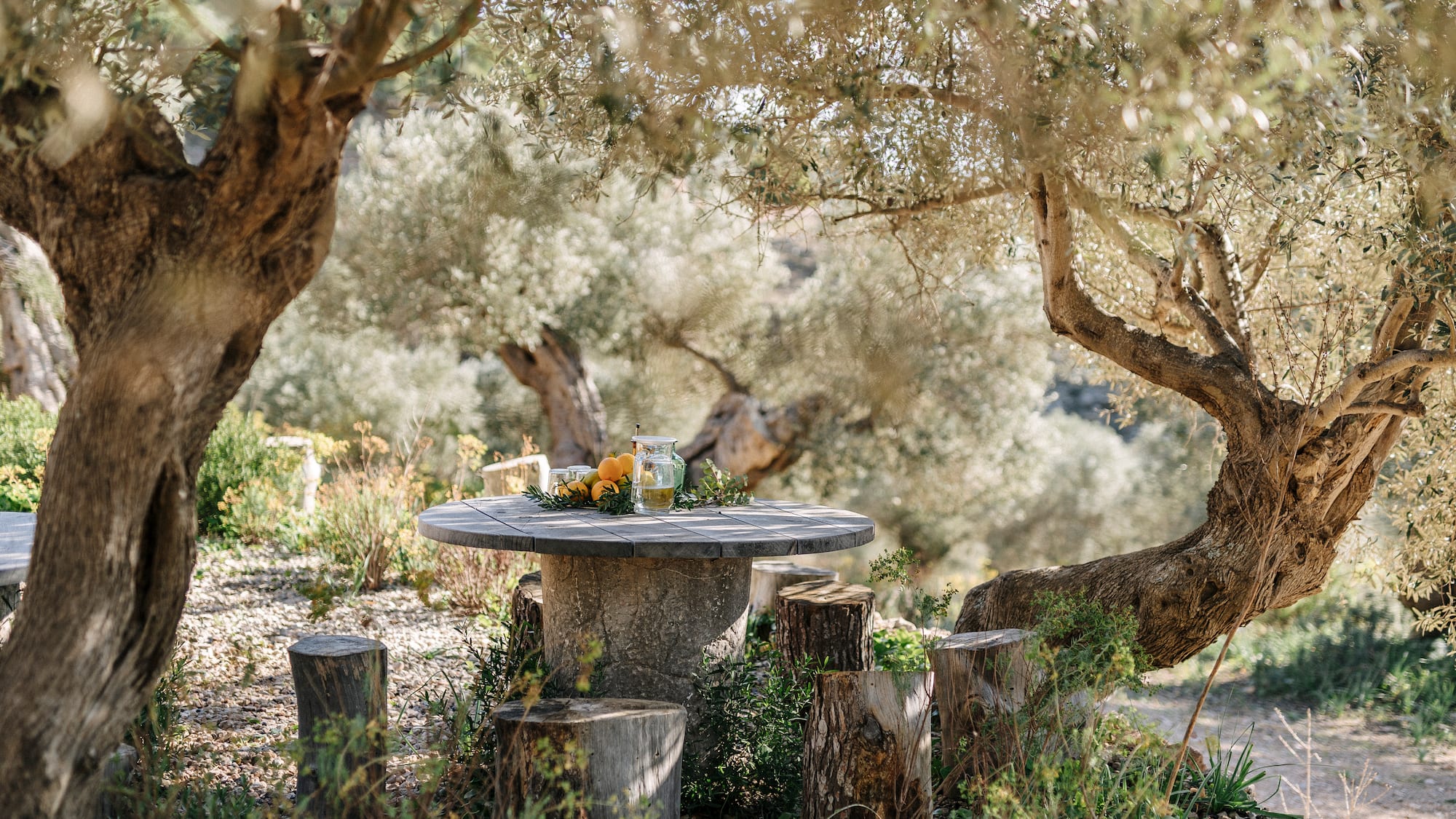 a table with a group of trees
